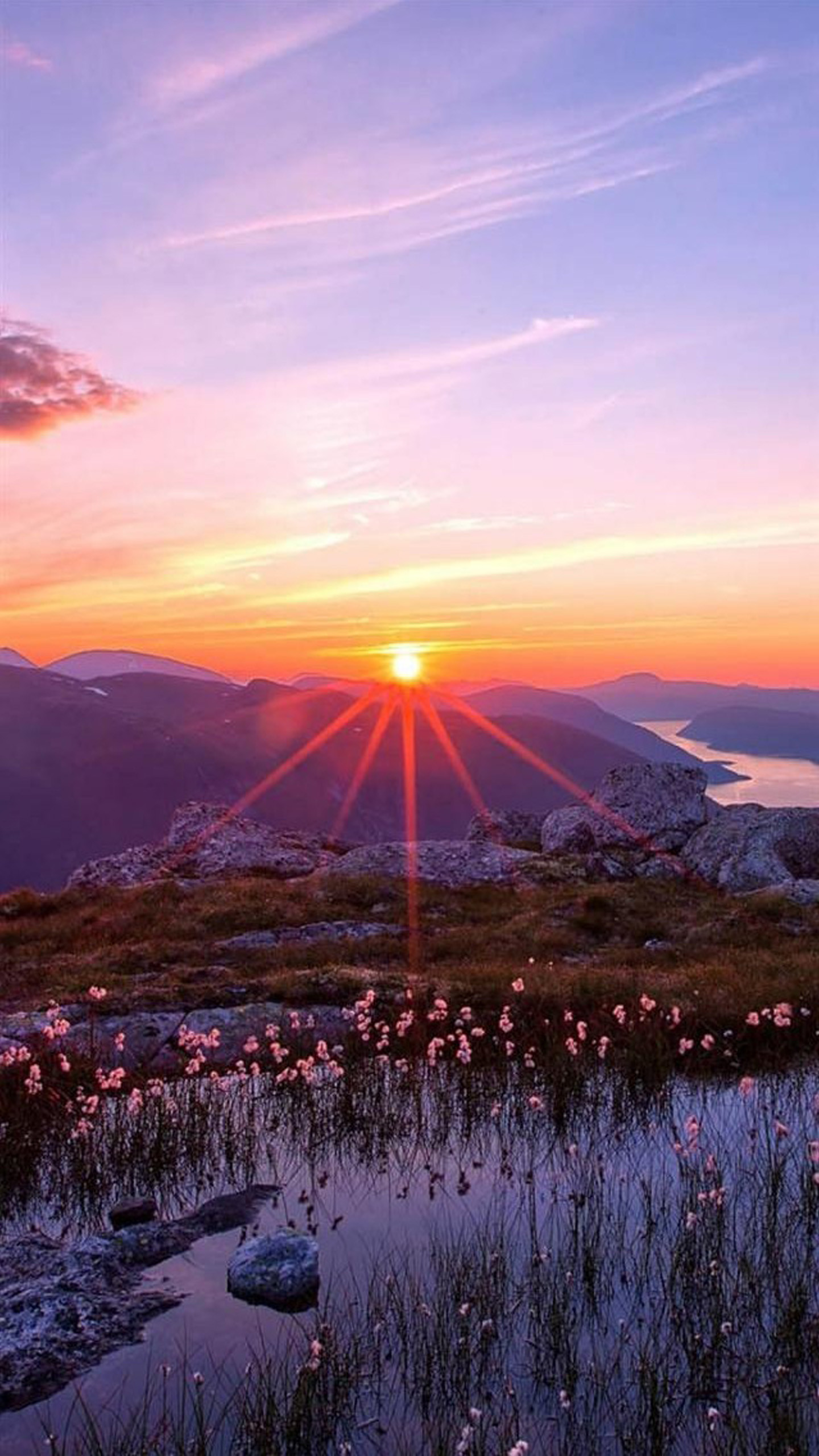 Tramonto, Montagne, Raggi di sole, Fiori, Cielo viola, sfondo LG G3