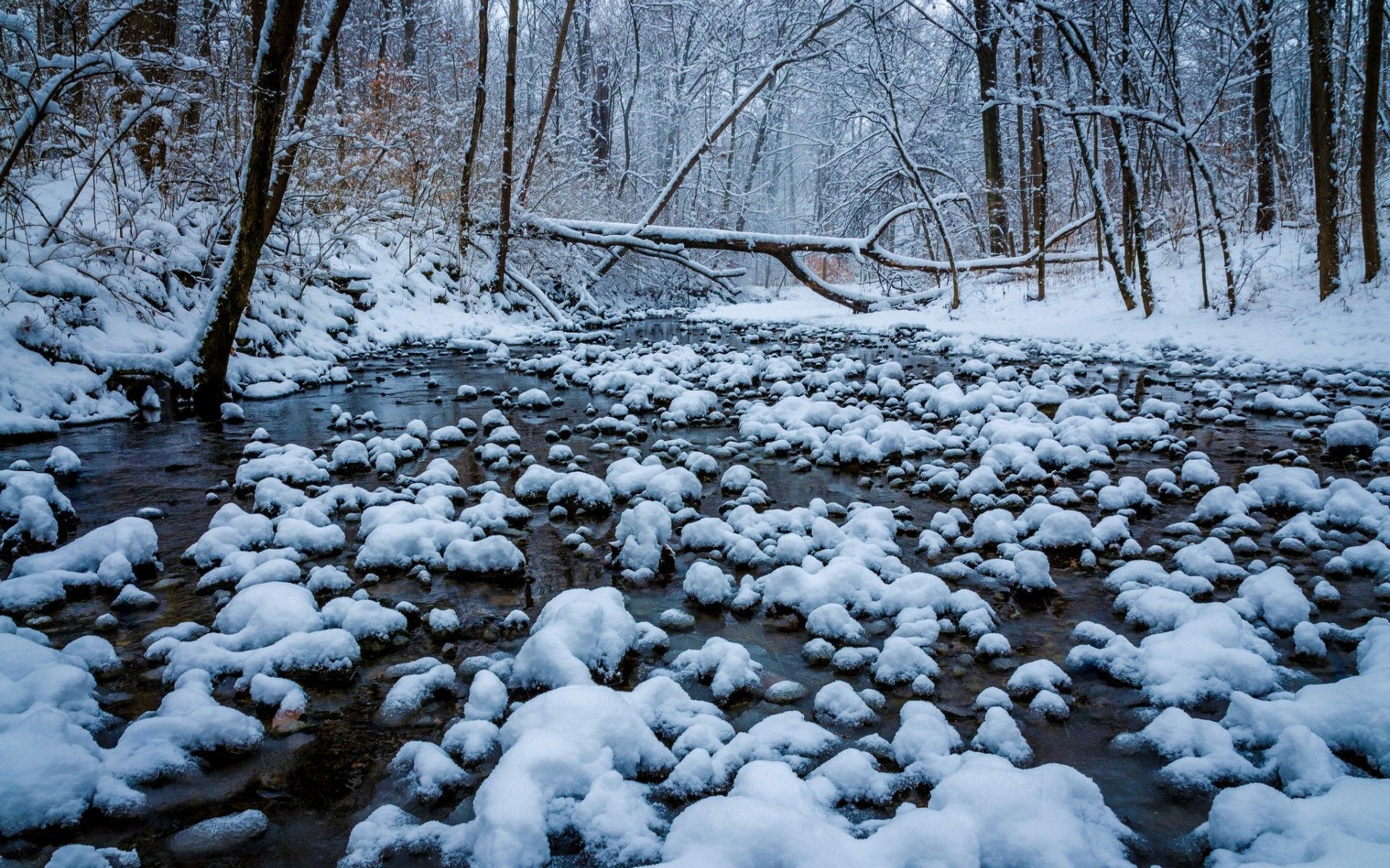 Torrente, Neve, Bosco, Inverno, sfondo Windows