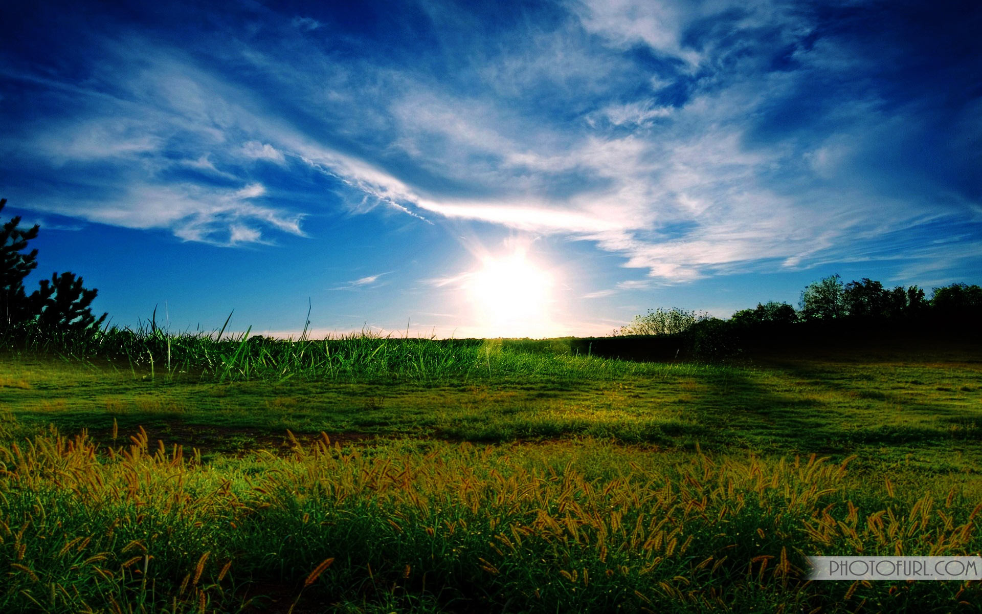 Windows xp Nature Wallpapers xp Nature Wallpaper, Full HD, sfondo per PC