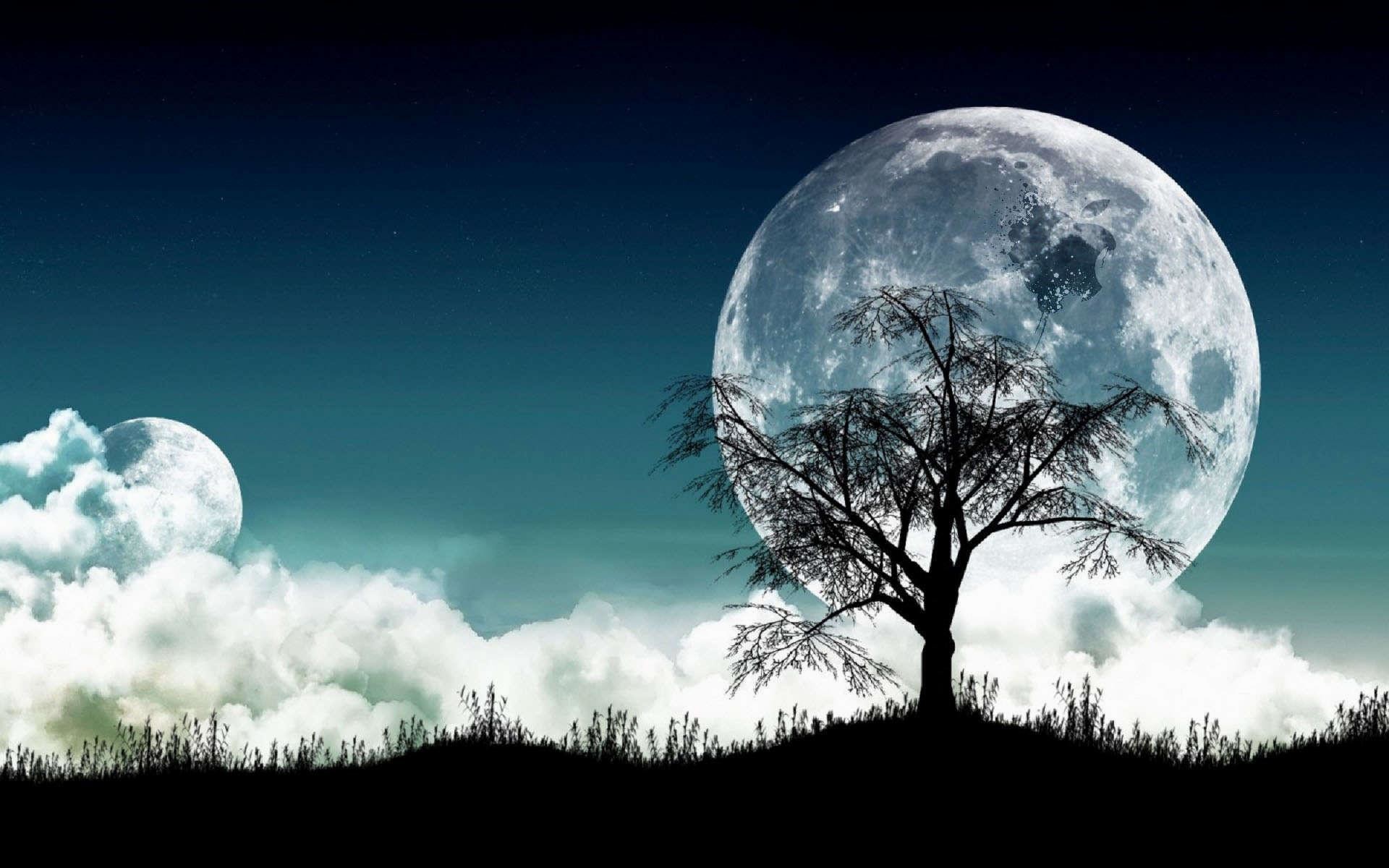 Luna piena, Albero, Silhouette, Nuvole, Notte, Full HD, sfondo desktop