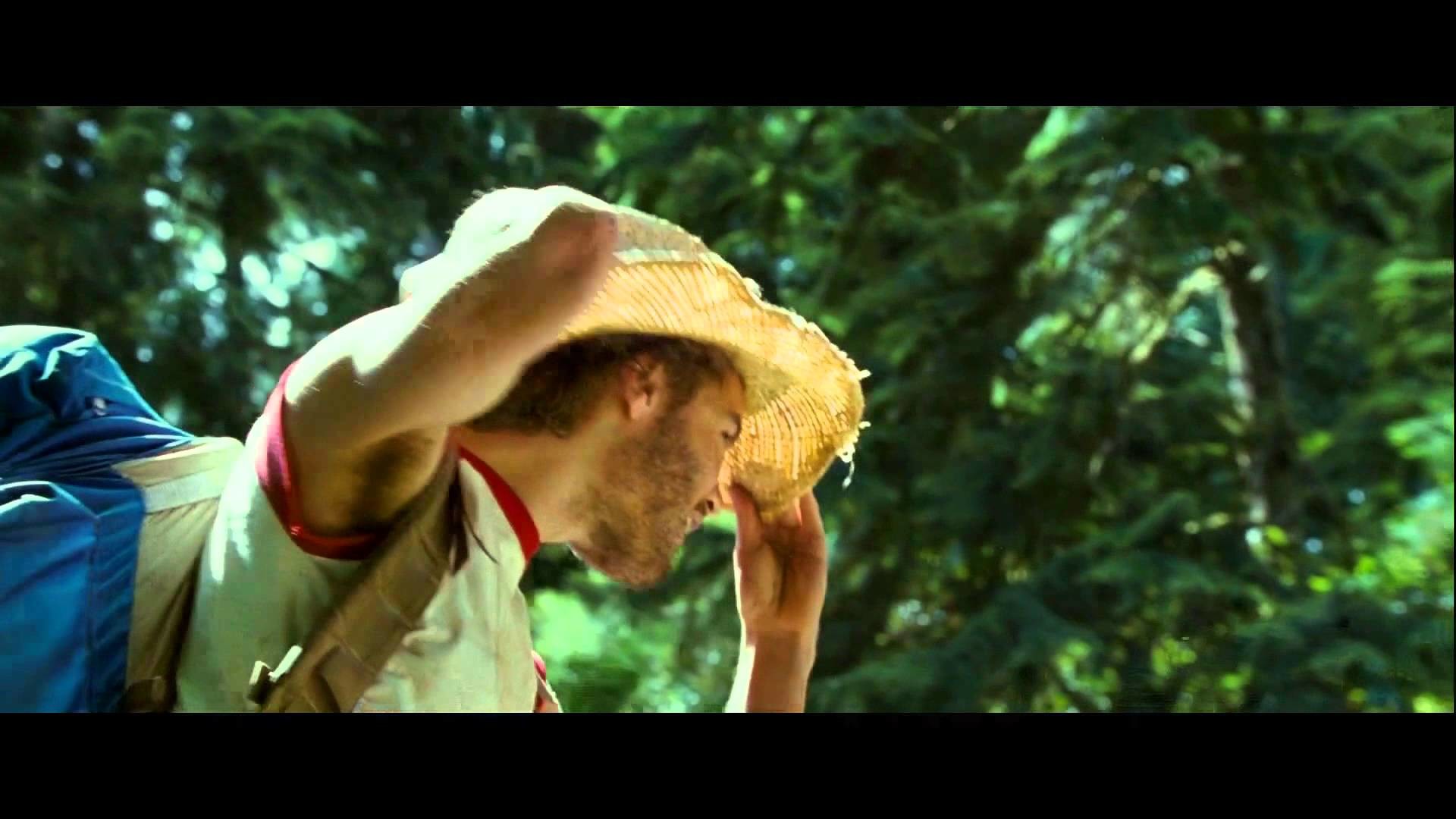 Into the Wild - Nelle terre selvagge, Emile Hirsch, Cappello di paglia, Foresta, immagine di sfondo