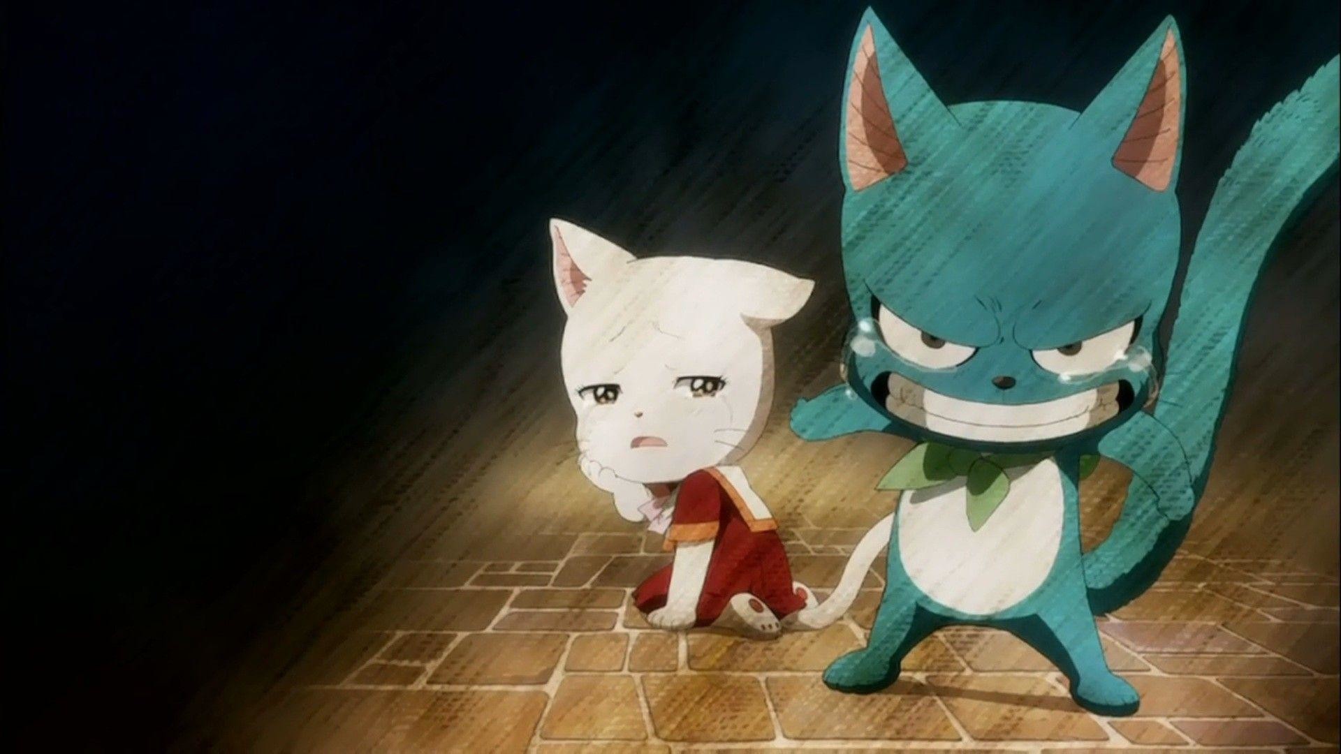 Happy, Charle, Fairy Tail, Gatti, 1920x1080, sfondo per PC