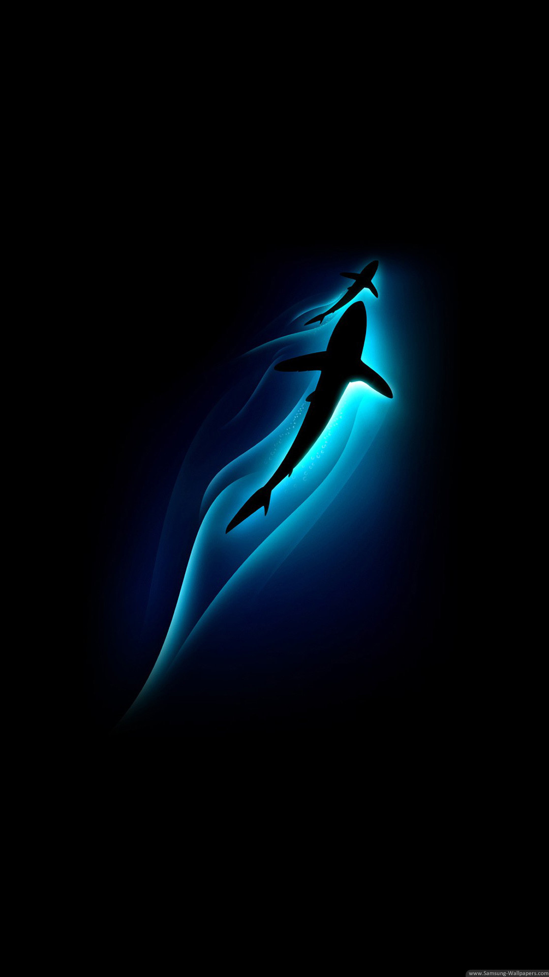 Squalo, Silhouette, Luce blu, Sfondo nero, schermata Home Galaxy S4