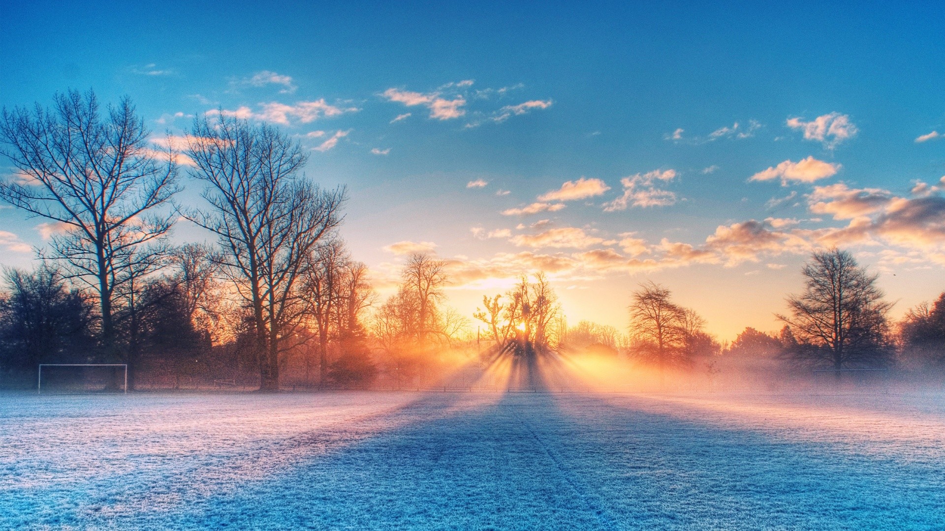 Alberi, Alba, Neve, Inverno, Nebbia, immagine di sfondo PC