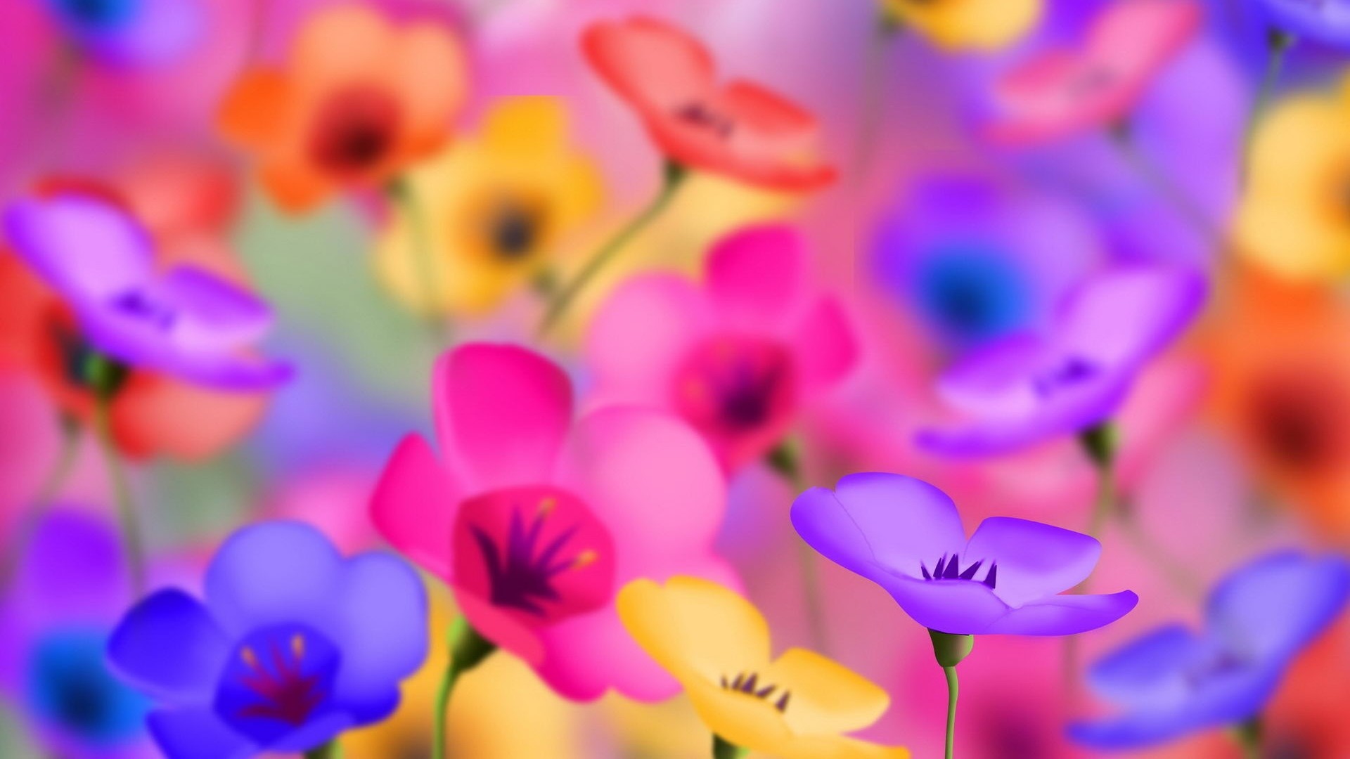 Fiori colorati, Bokeh, Multicolore, sfondo per desktop