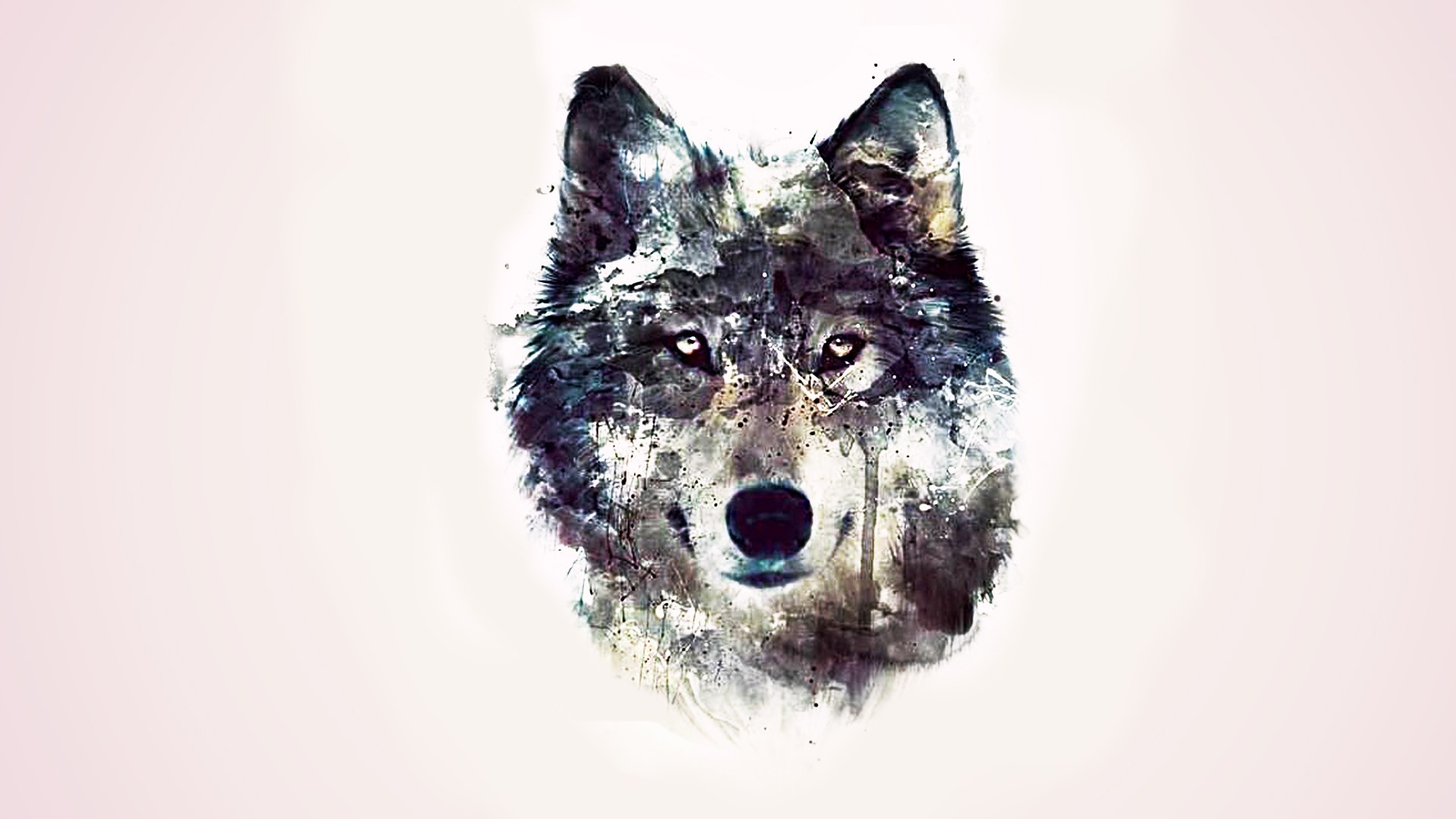 Lupo, Arte digitale, Acquerello, Sfondo bianco, Full HD, wallpaper per computer