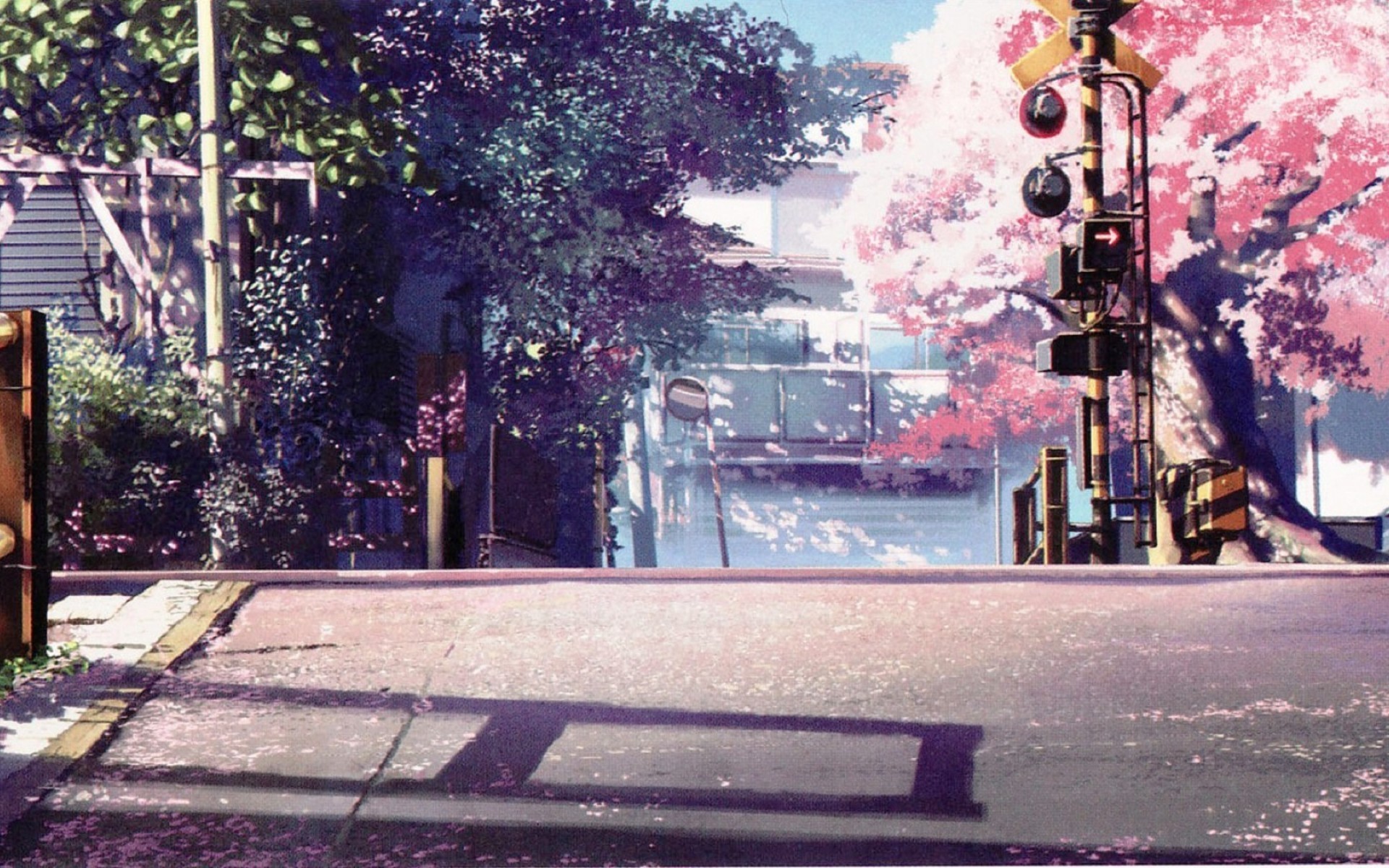5 cm al secondo, Makoto Shinkai, Passaggio a livello, Ciliegio, Anime, sfondo 1920x1200 per PC