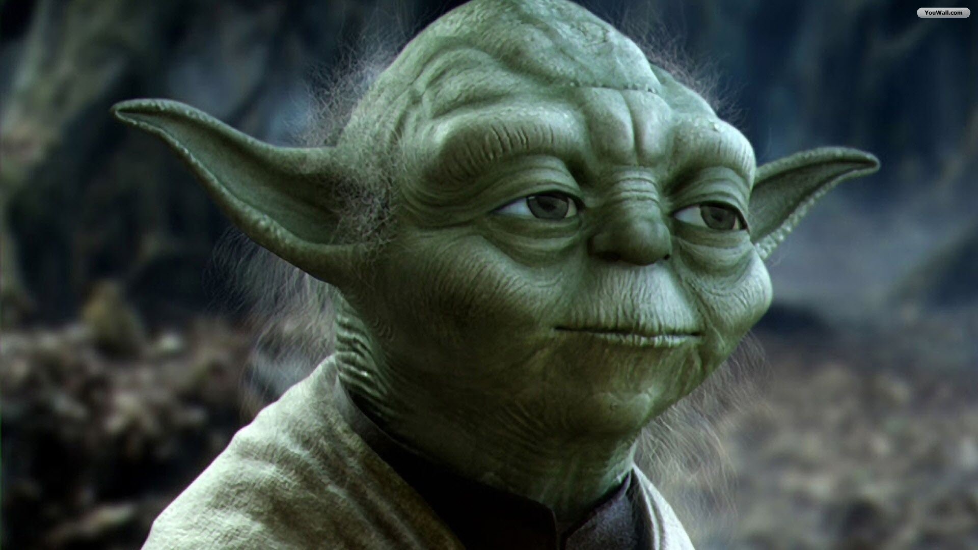 Yoda, Star Wars, Primo piano, Maestro Jedi, 1920x1080, immagine di sfondo