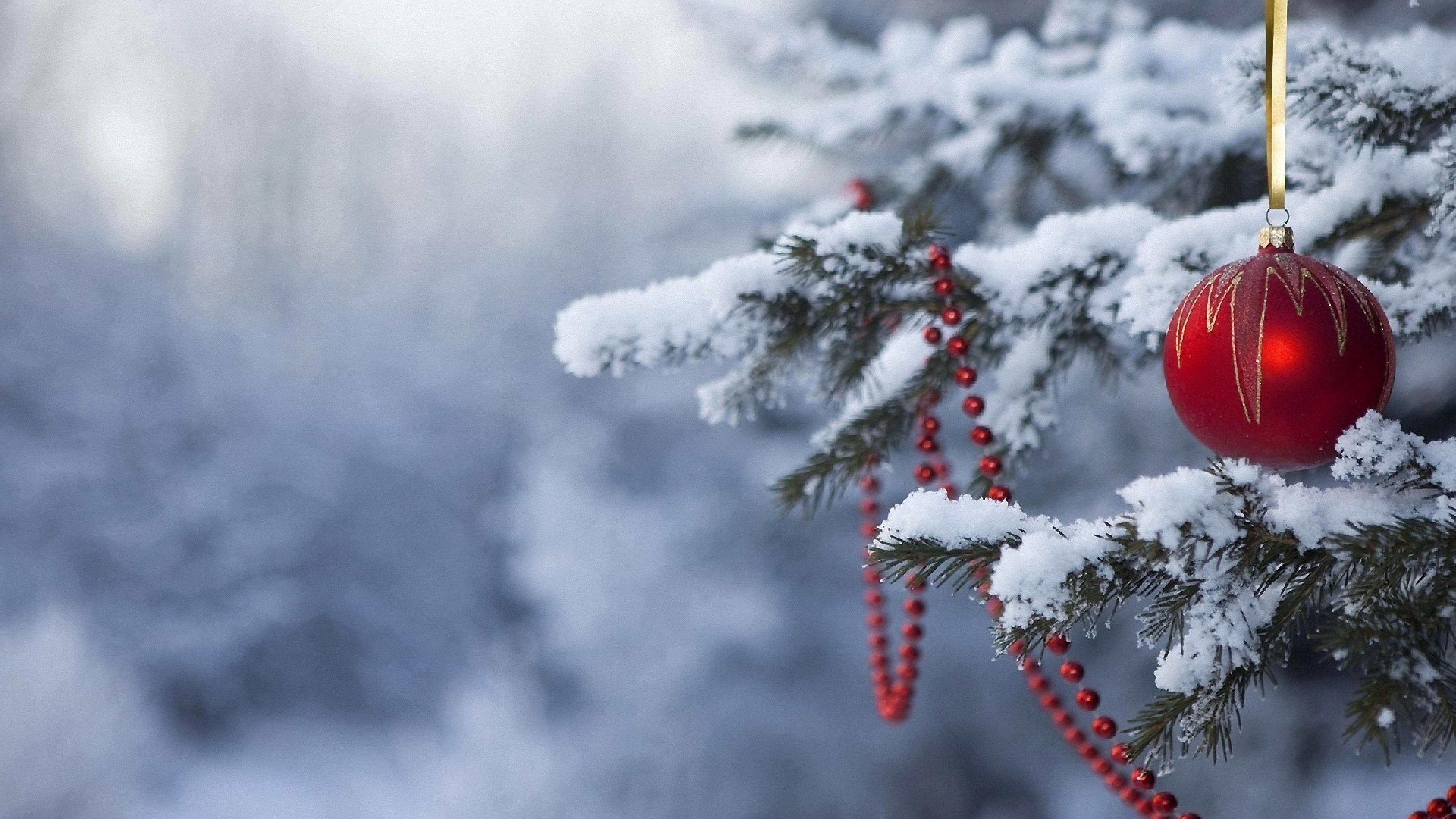 Pallina di Natale, Rami innevati, Perline rosse, 4K, sfondo Windows 11