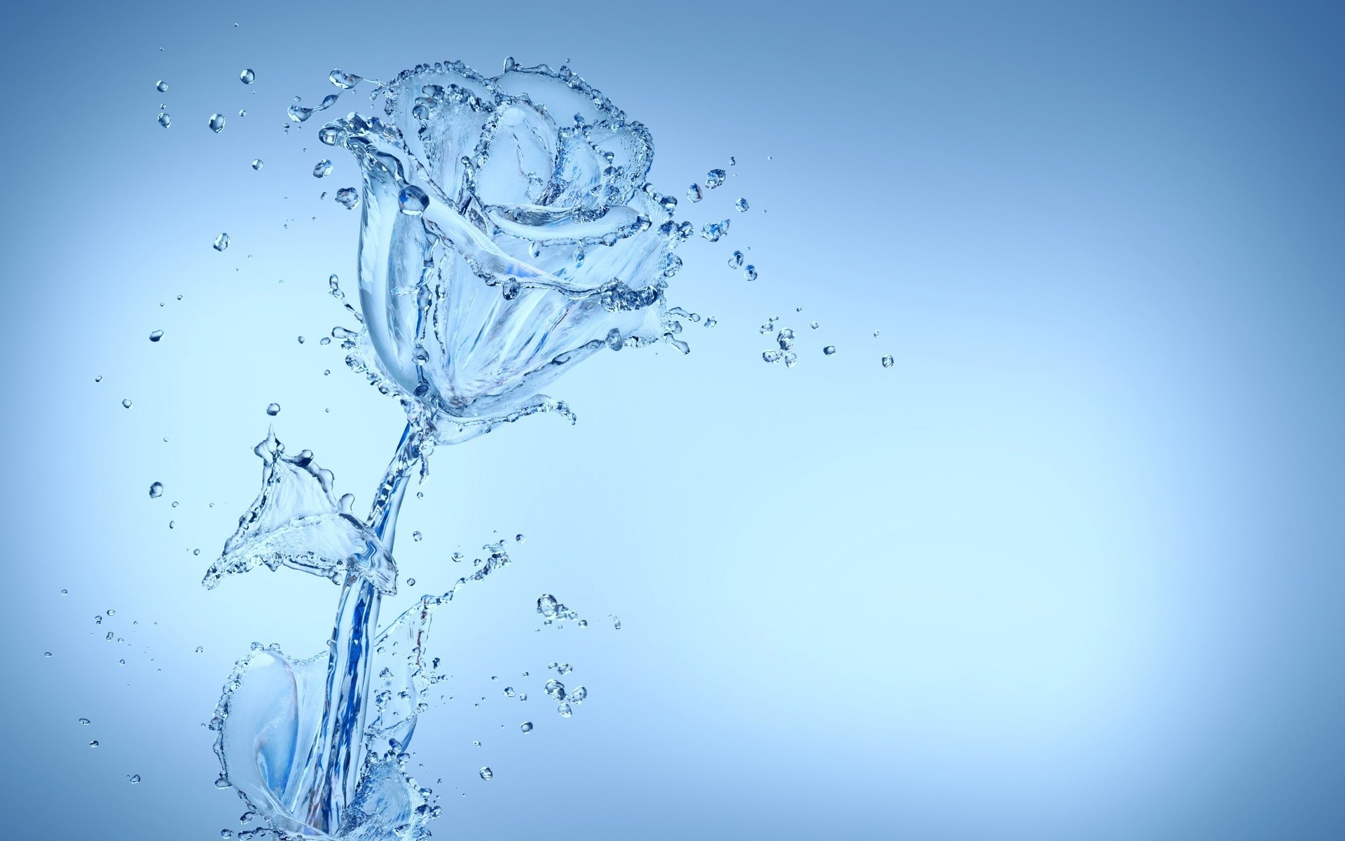 Rosa d'acqua, Arte digitale, Azzurro, Full HD, wallpaper per computer
