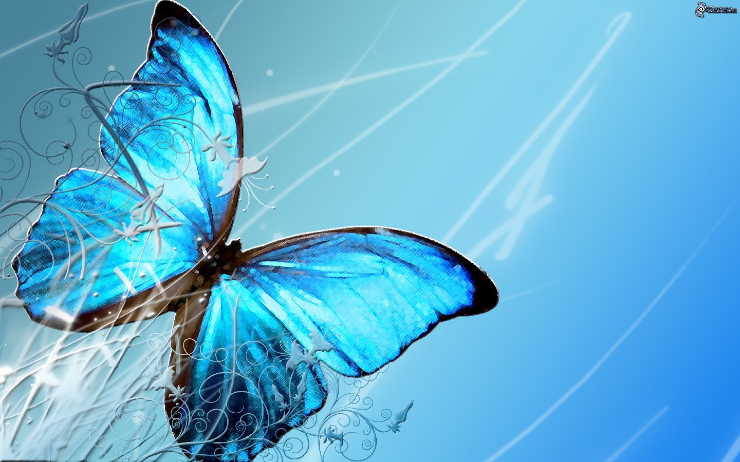 Farfalla blu, Arte digitale, Azzurro, 16:10 2K, sfondo widescreen