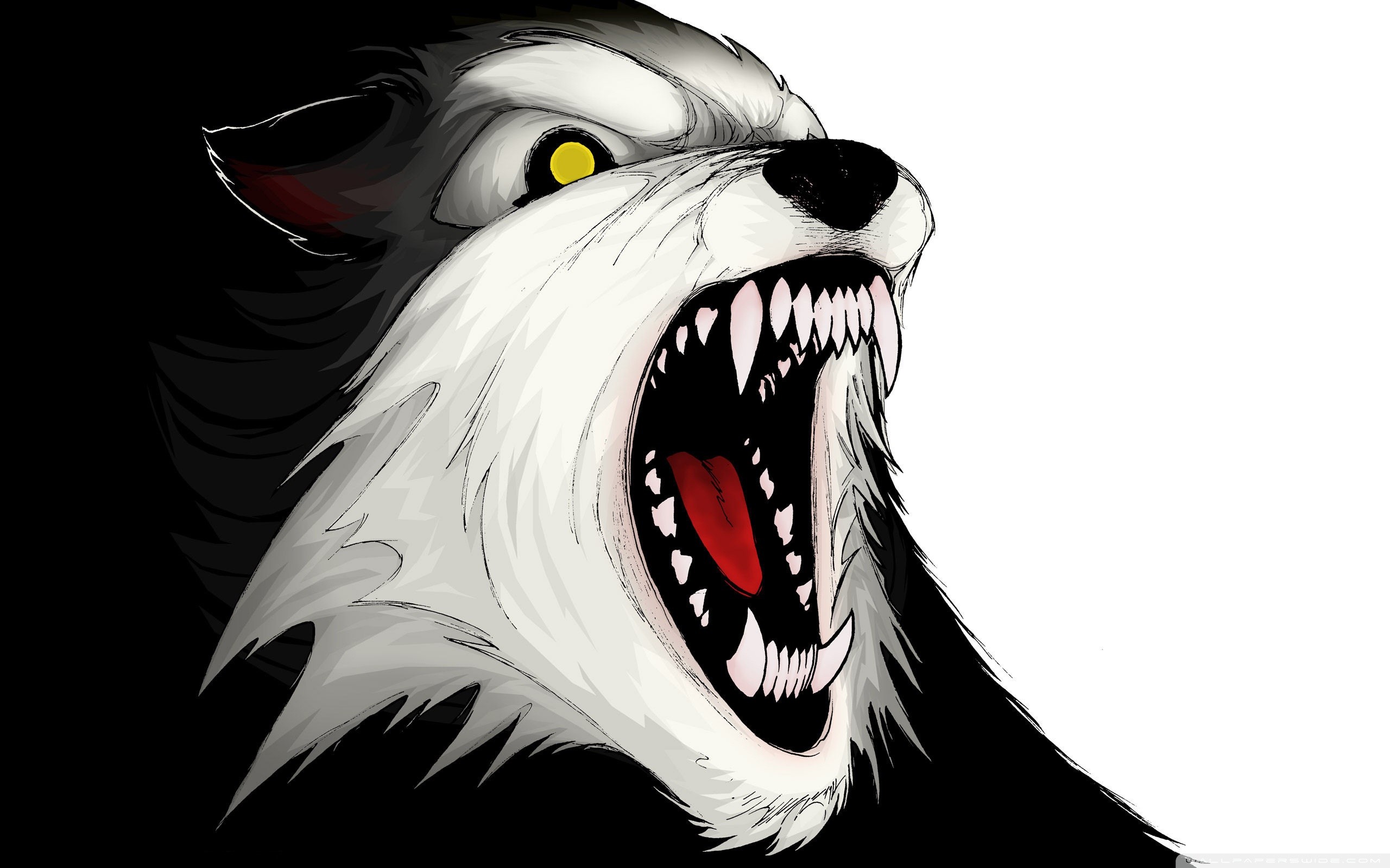 Lupo cartoon, Fauci, Illustrazione, Bianco, 2K, sfondo per PC