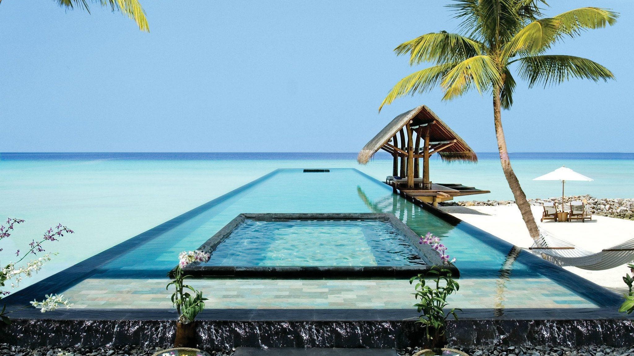 Maldive, Piscina a sfioro, Palma, Resort, Full HD, wallpaper per portatile