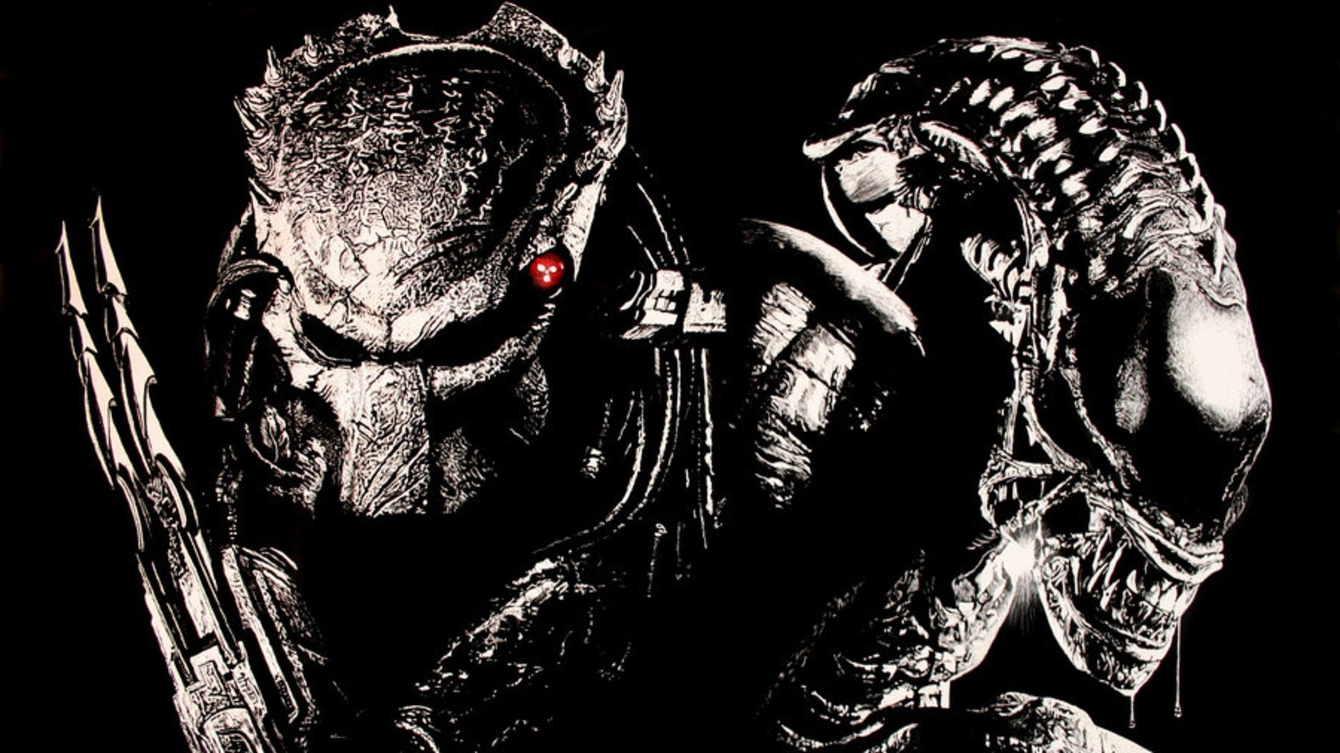 Alien vs. Predator, Predator, Xenomorfo, Bianco e nero, Full HD, sfondo per PC