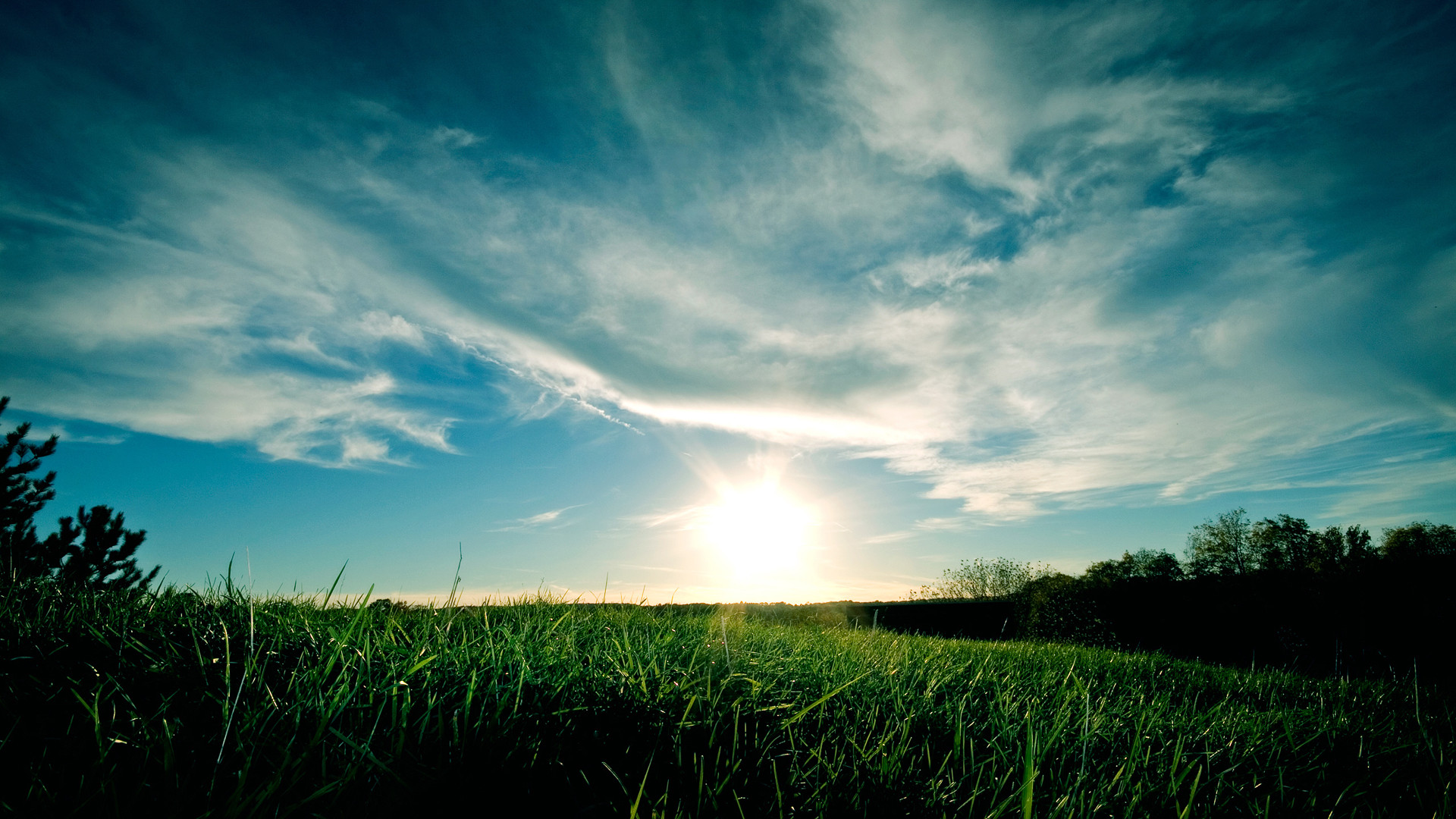 Prato, Sole, Nuvole, Cielo azzurro, Paesaggio, immagine di sfondo Android