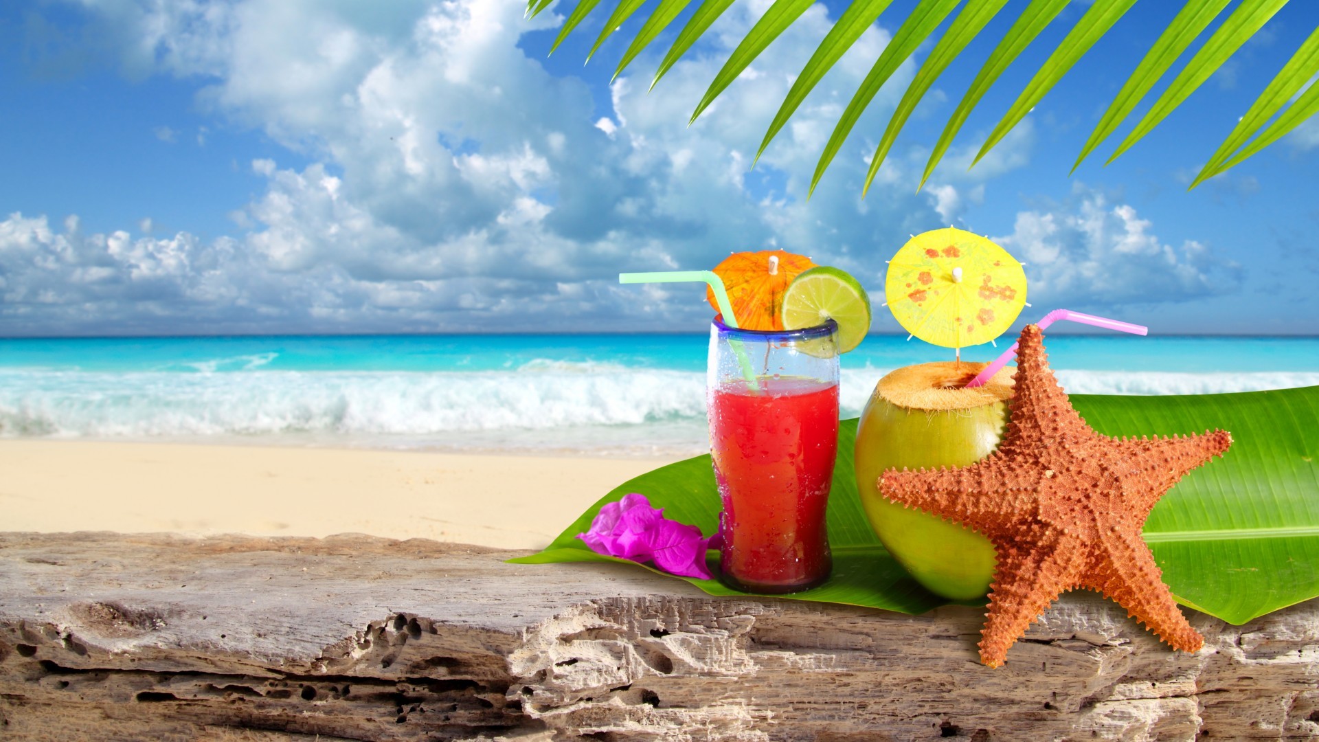 Cocktail, Stella marina, Spiaggia tropicale, Palme, Full HD, wallpaper per computer
