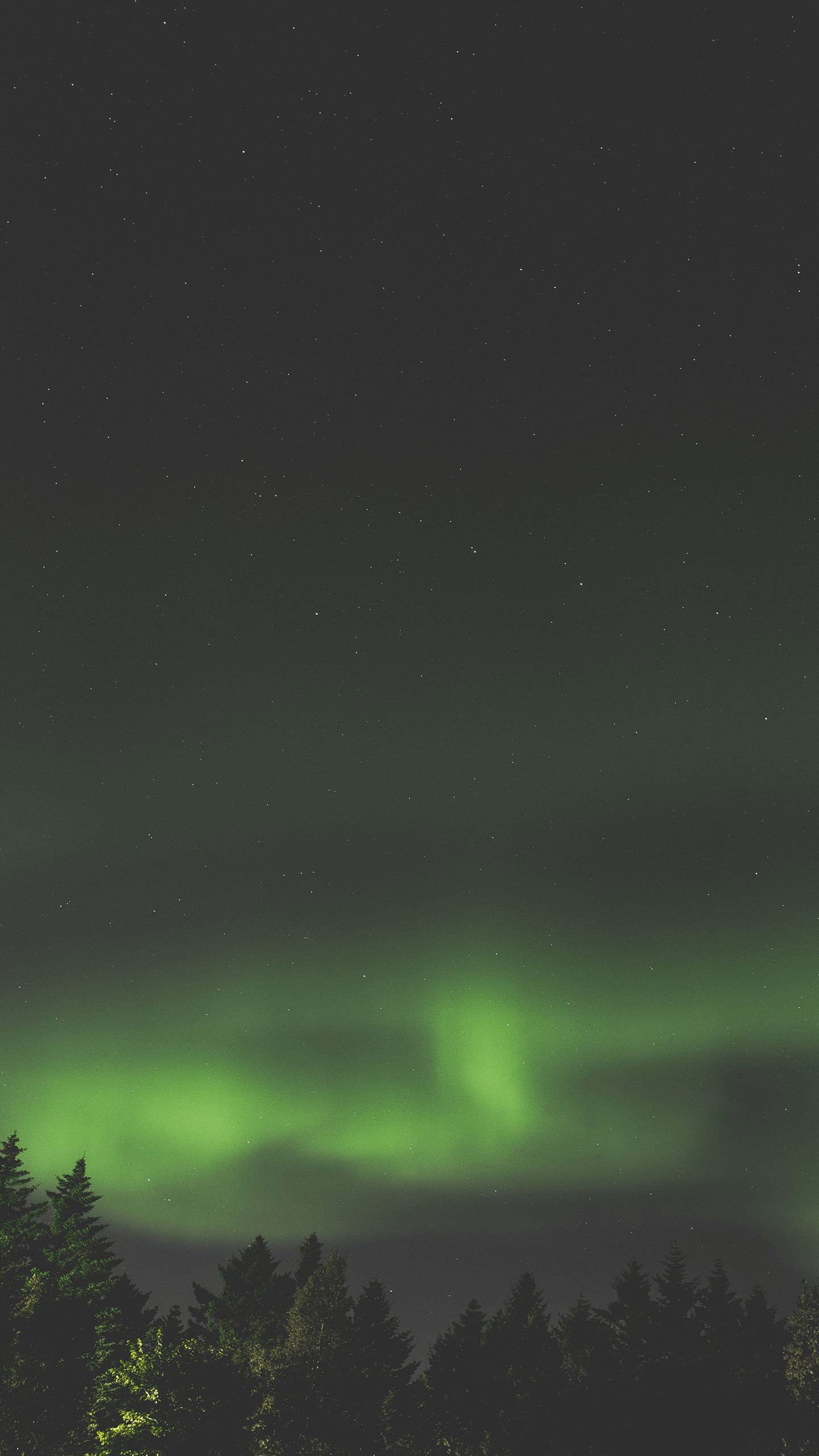 Aurora boreale, Foresta, Notte, sfondo Android verticale