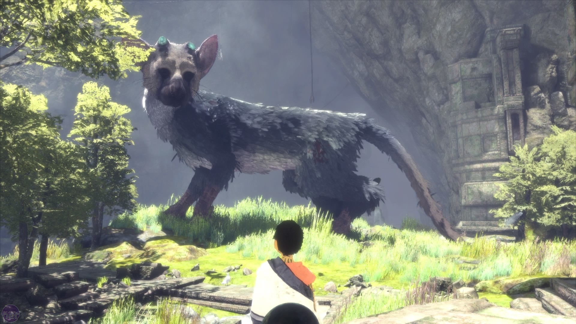 Trico, The Last Guardian, Ragazzo, Prato, Alberi, Full HD, sfondo per PC e portatile