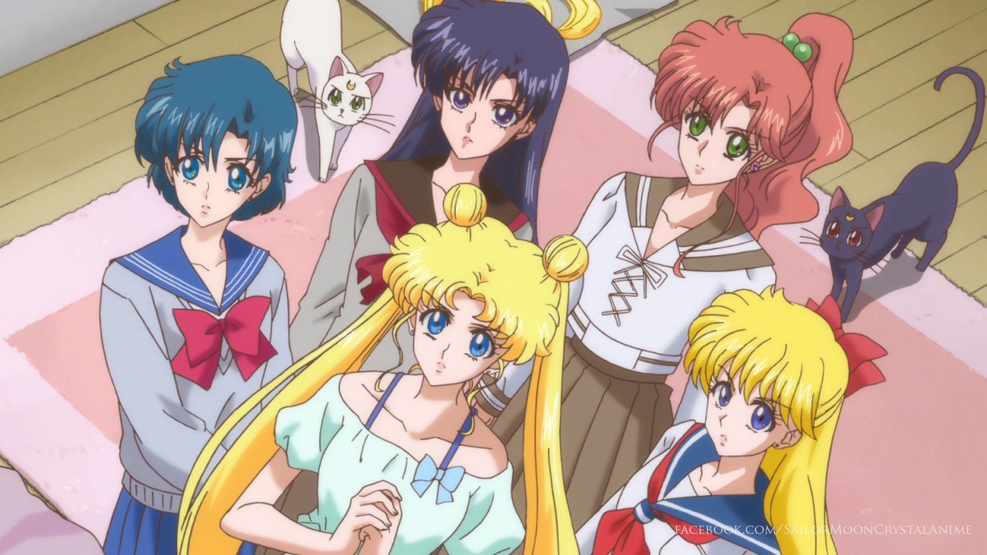 Usagi Tsukino, Ami Mizuno, Rei Hino, Makoto Kino, Minako Aino, Luna, Artemis, sfondo 1080p