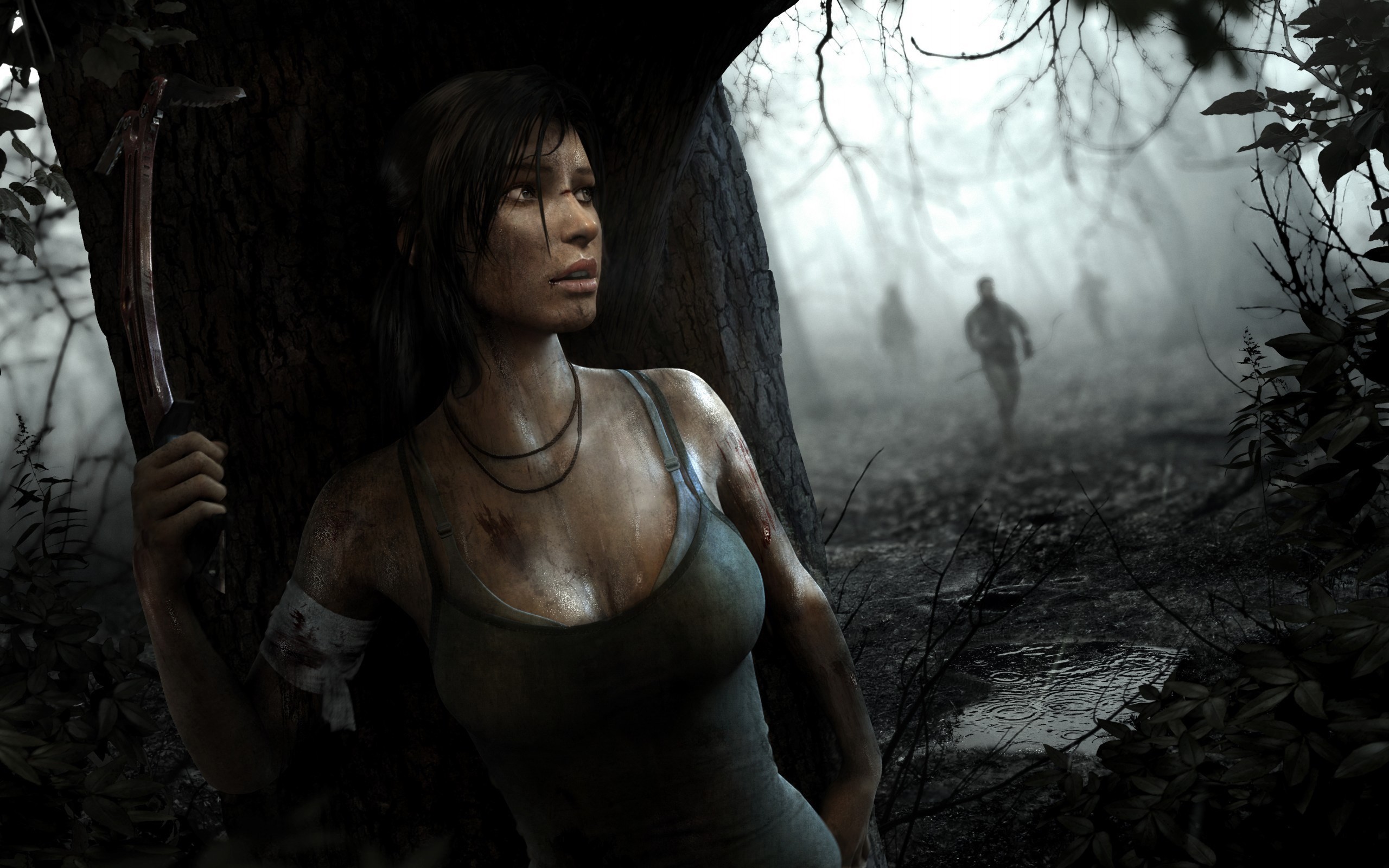 Lara Croft, Tomb Raider (2013), Foresta, Nebbia, 2560x1600, sfondo MacBook Pro