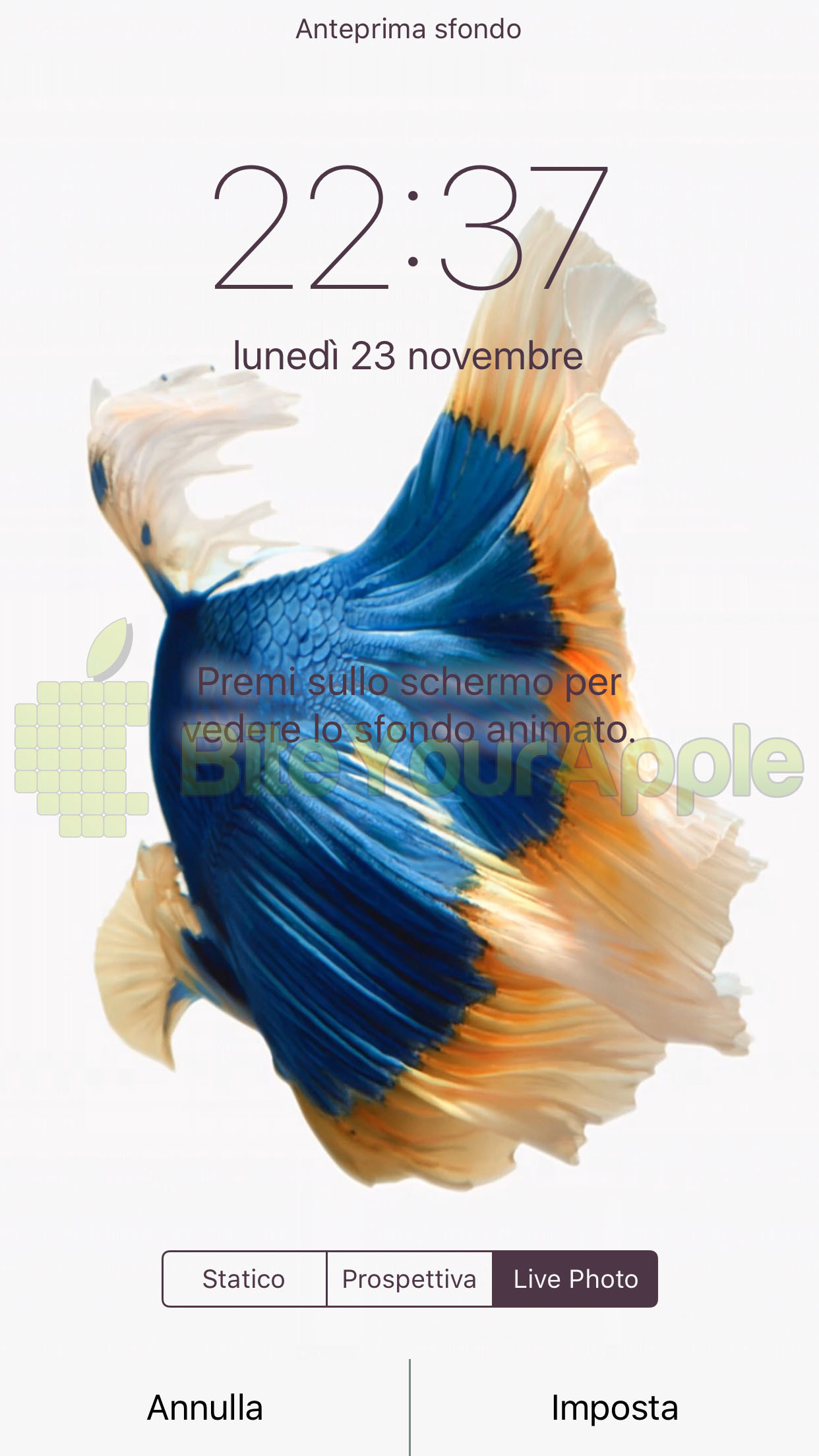 Pesce combattente, Betta, Schermata di blocco, iPhone, Full HD, sfondo verticale per cellulare