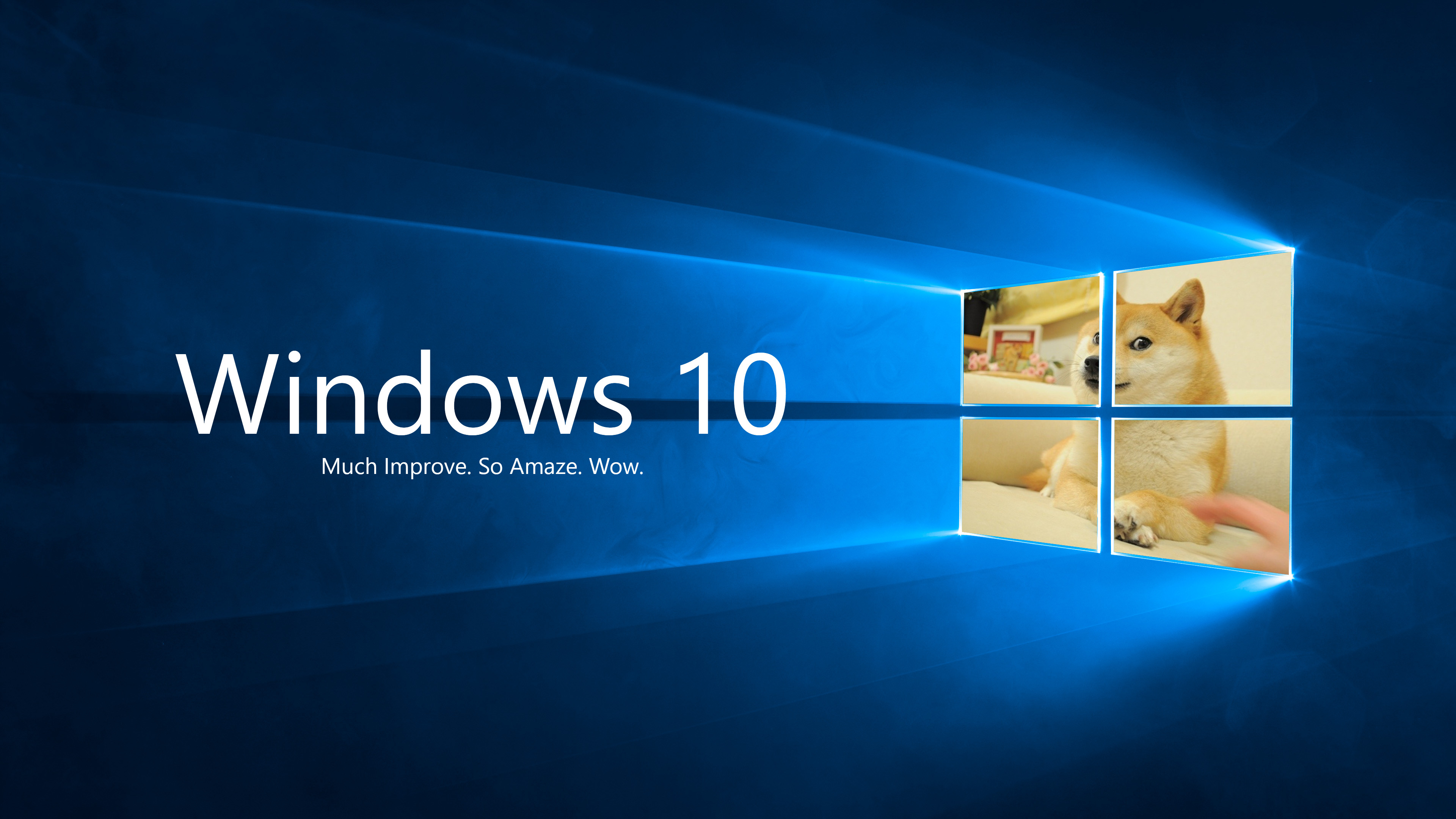 Doge, Windows 10, Logo Windows, Parodia, 4K, sfondo desktop