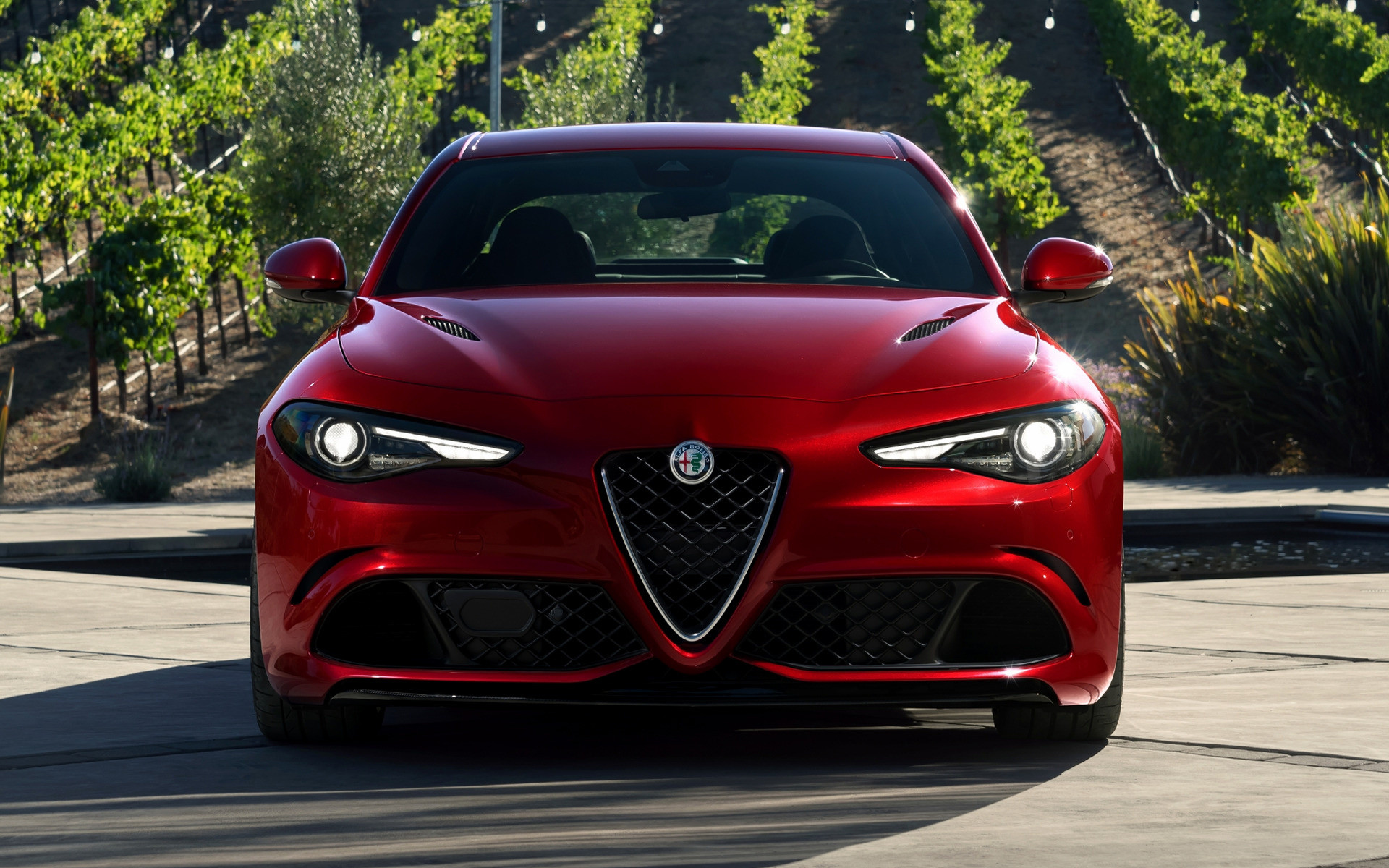 Alfa Romeo Giulia Quadrifoglio, Rosso, Vigneto, Vista frontale, 1920x1200, sfondo MacBook Pro