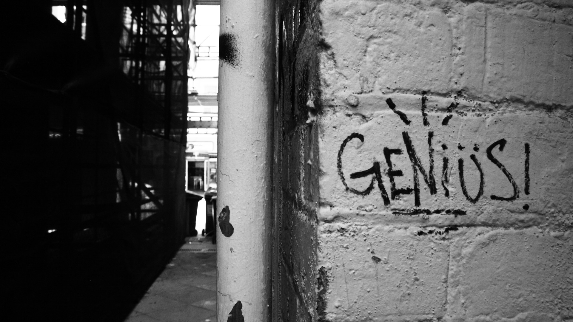 Genius, Scritta, Bianco e nero, Muro, 1920x1080, sfondo per PC