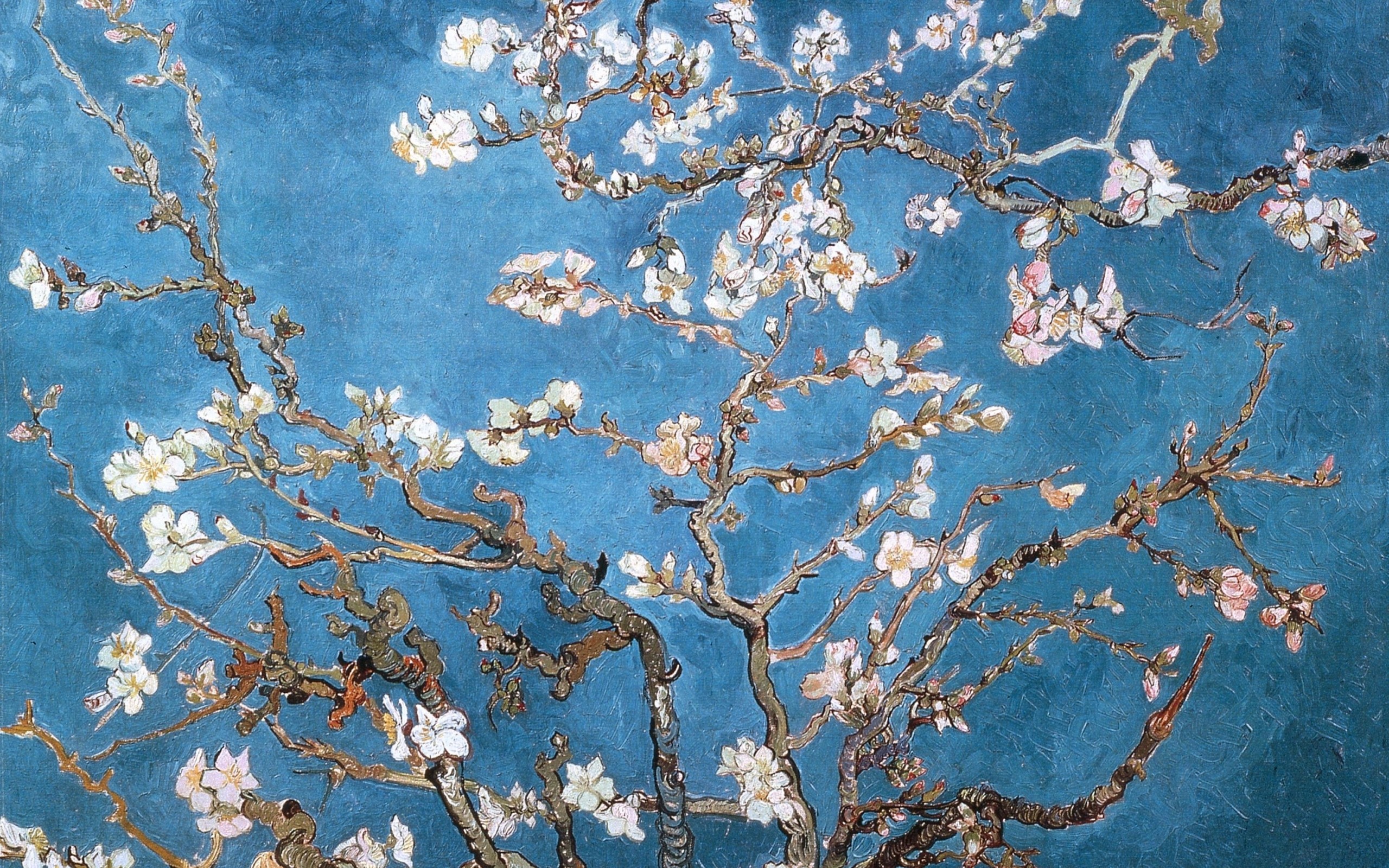Ramo di mandorlo fiorito, Vincent van Gogh, Fiori bianchi, Azzurro, sfondo MacBook Air
