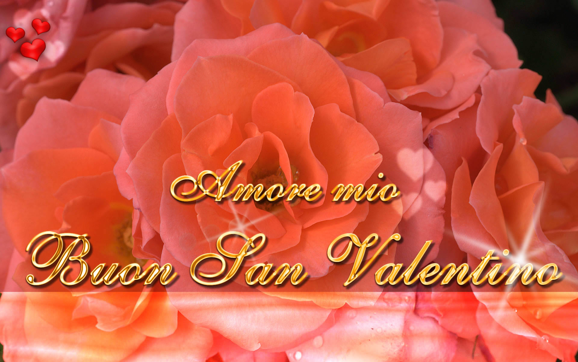 Buon San Valentino, Amore mio, Rose, Arancione, Full HD, sfondo per PC e portatile