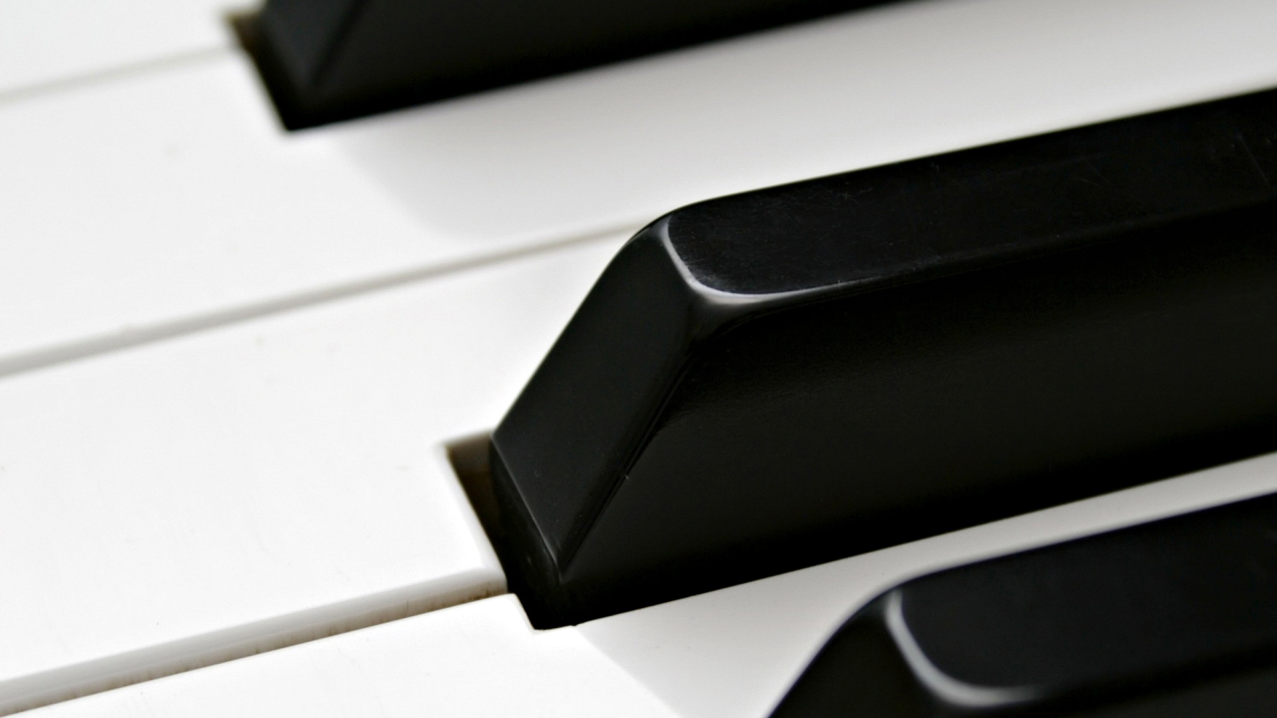 Tasti del pianoforte, Macro, Bianco e nero, 2K 1440p, sfondo desktop