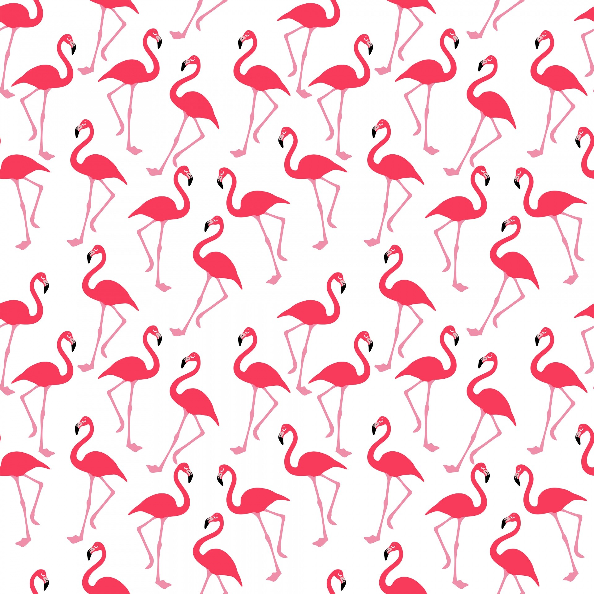Fenicotteri, Motivo, Rosso, Sfondo bianco, Full HD, schermata di blocco iPad