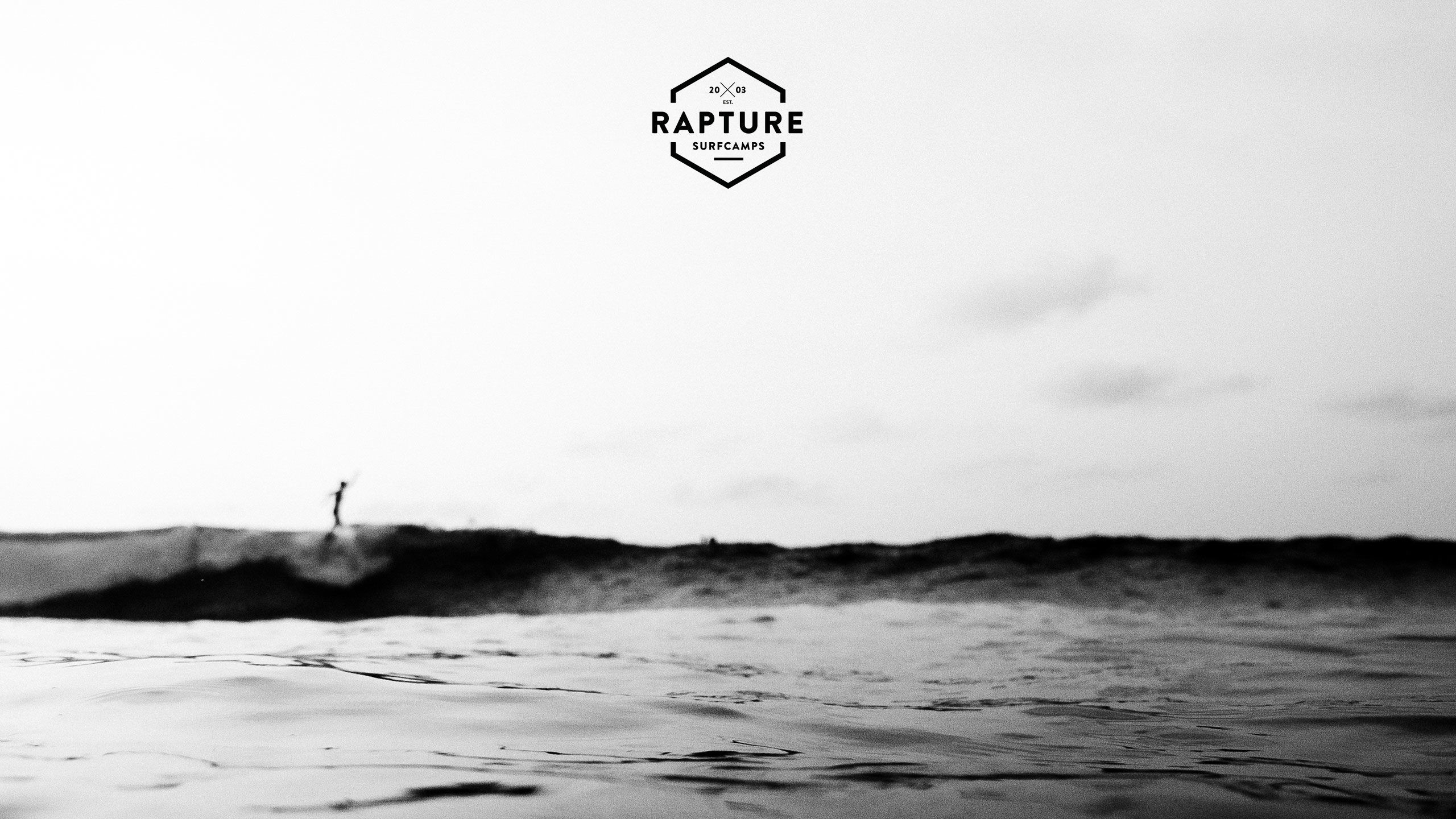 Rapture Surfcamps, Surfista, Bianco e nero, Minimalismo, 2K, sfondo per PC e portatile
