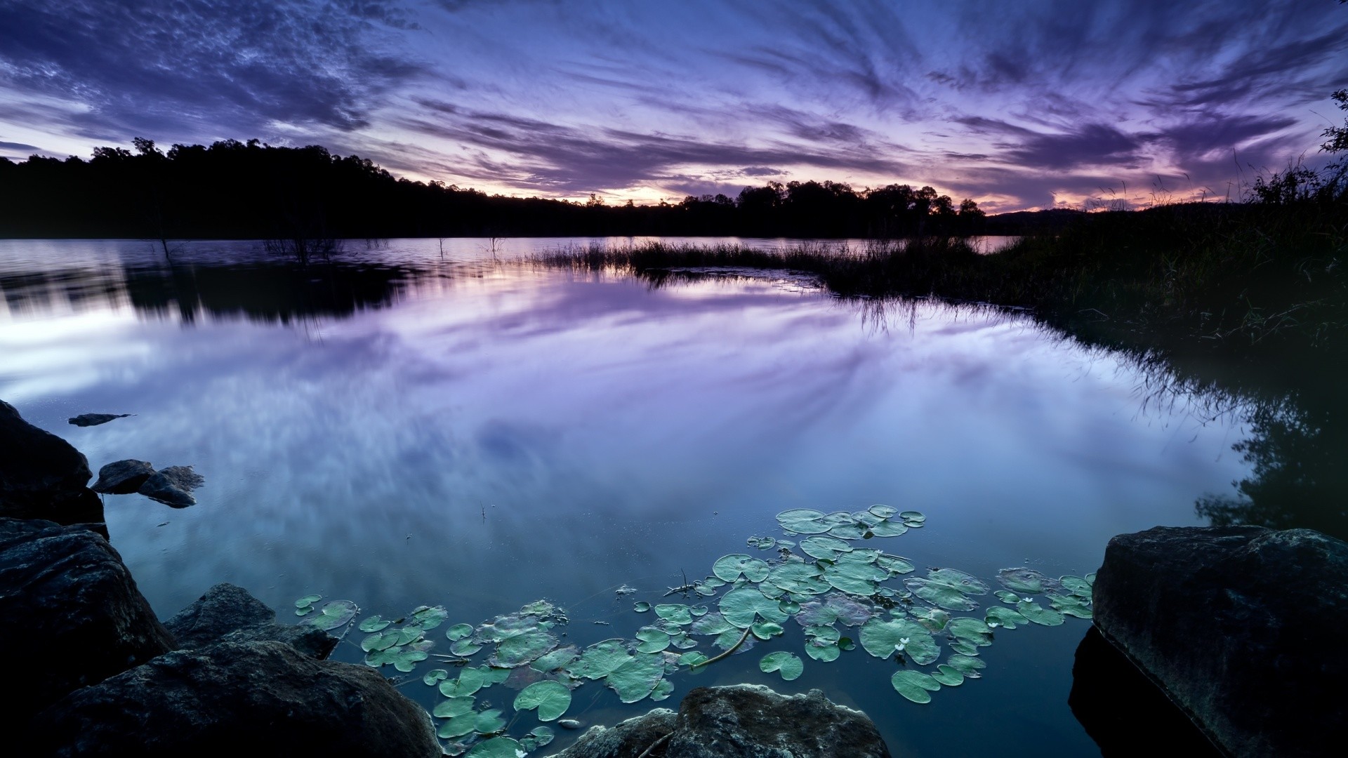 Lago, Ninfee, Crepuscolo, Cielo viola, Full HD, sfondo per PC