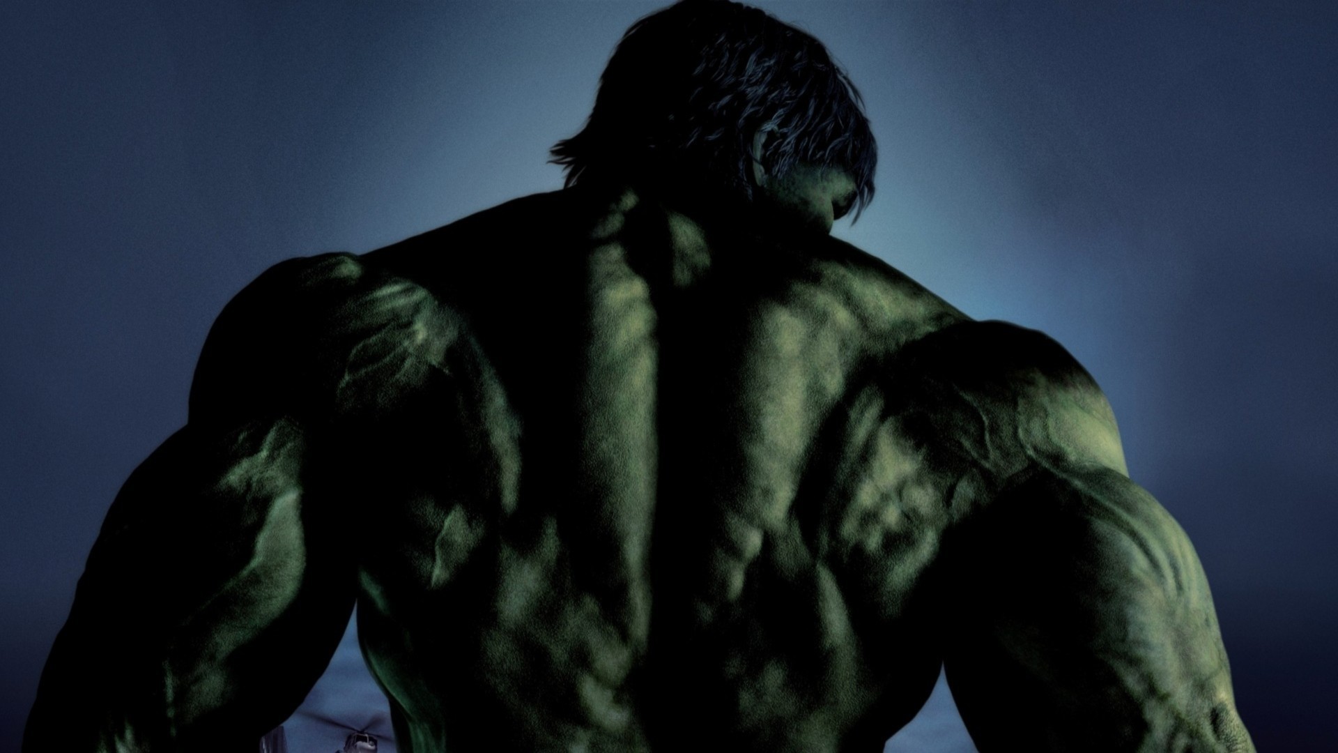 Hulk, Marvel, Schiena, Sfondo scuro, Full HD, wallpaper per portatile