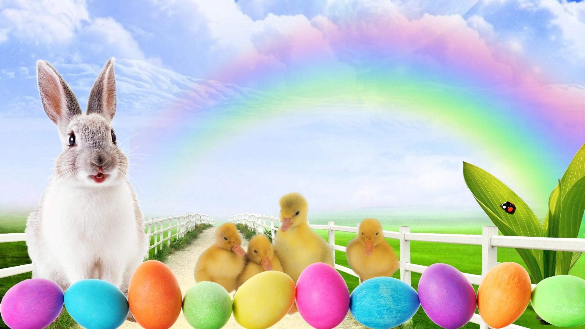 Coniglio, Anatroccoli, Uova di Pasqua, Arcobaleno, 1920x1080, immagine di sfondo