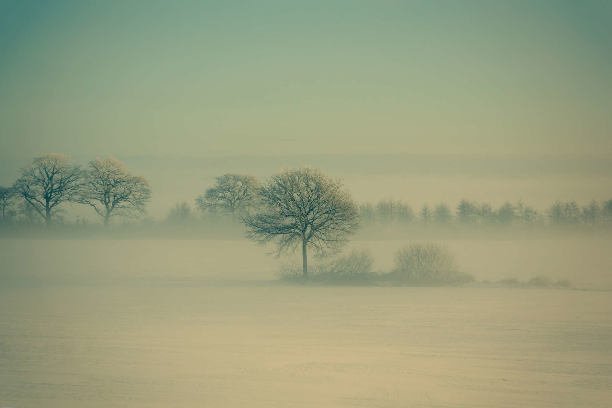Ubuntu 13.04 Winning Wallpapers Revealed, Full HD, sfondo per portatile
