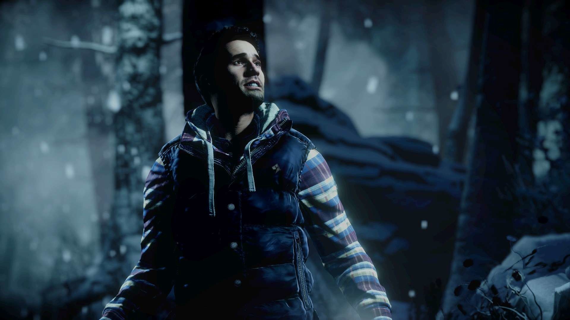 Until Dawn, Mike, Neve, Foresta, Notte, Full HD, sfondo per PC e portatile