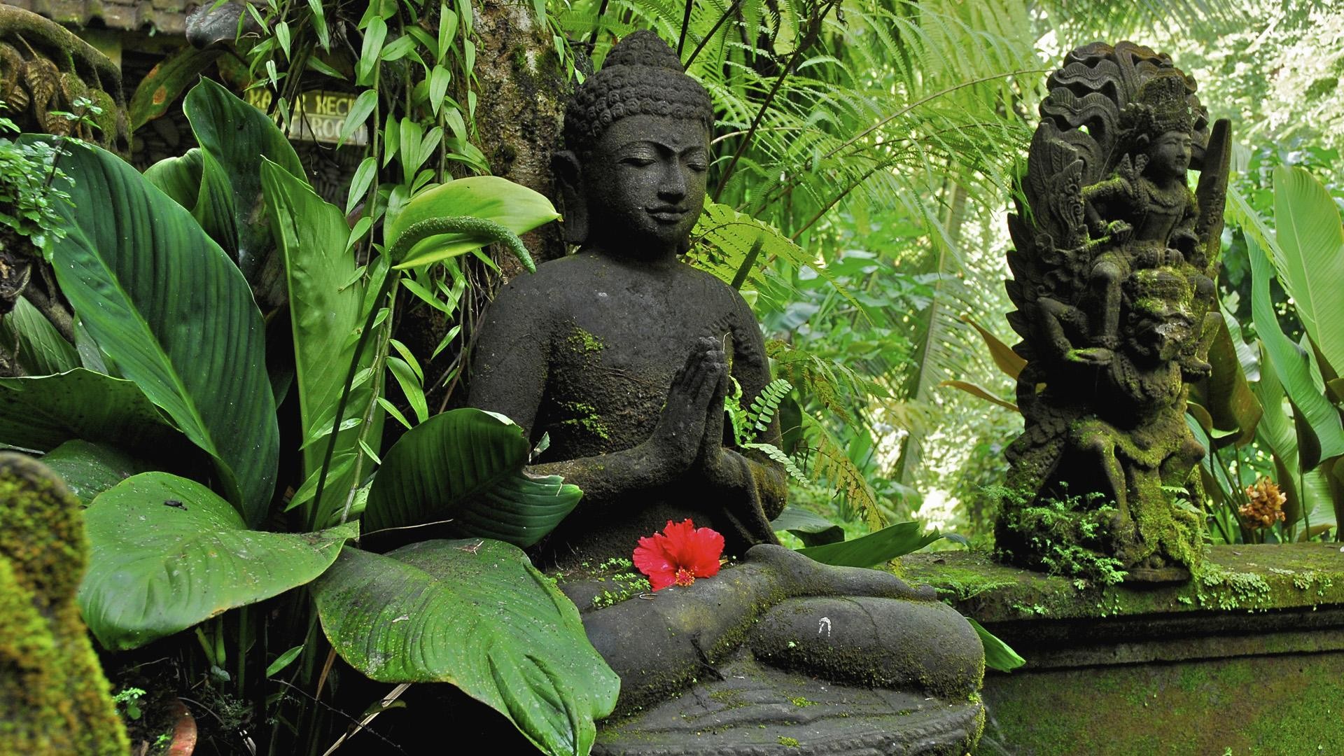 Buddha, Statua in pietra, Giungla, Fiore rosso, Full HD, sfondo Windows 11