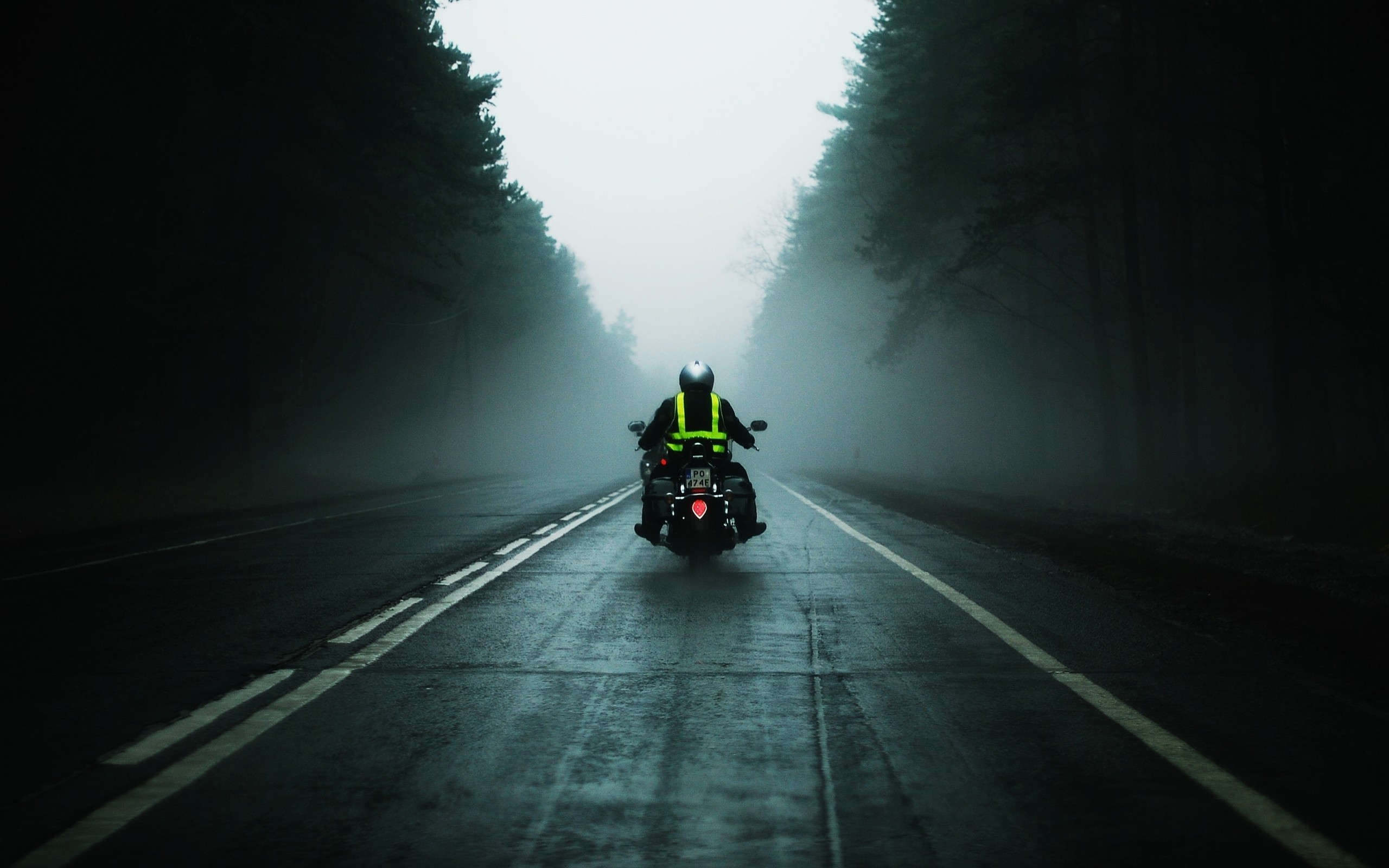 Motociclista, Strada, Nebbia, Foresta, 2K, sfondo per PC