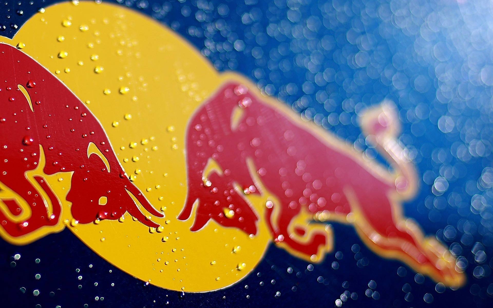 Logo Red Bull, Gocce d'acqua, Primo piano, Full HD, sfondo Windows 11