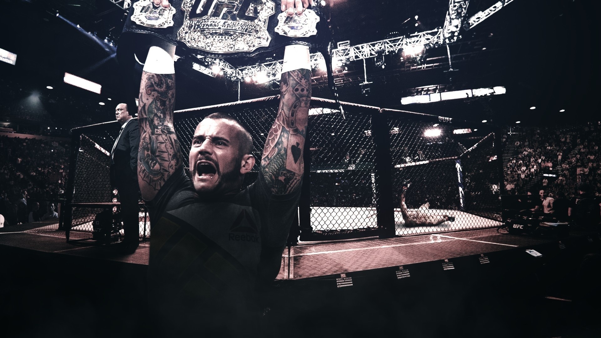 CM Punk, Ottagono, Esultanza, Arena, Full HD, sfondo per PC e portatile