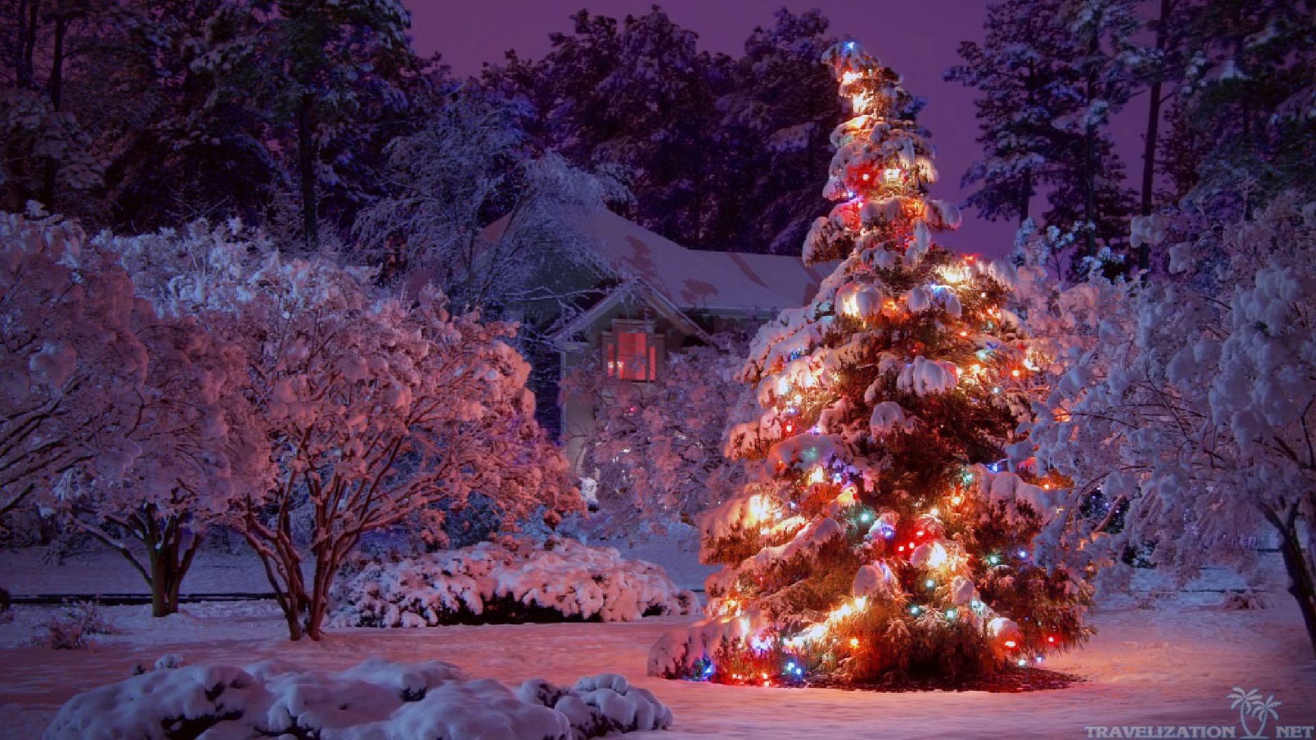 Natale, Albero di Natale, Neve, Notte, Luci, Full HD, sfondo per PC