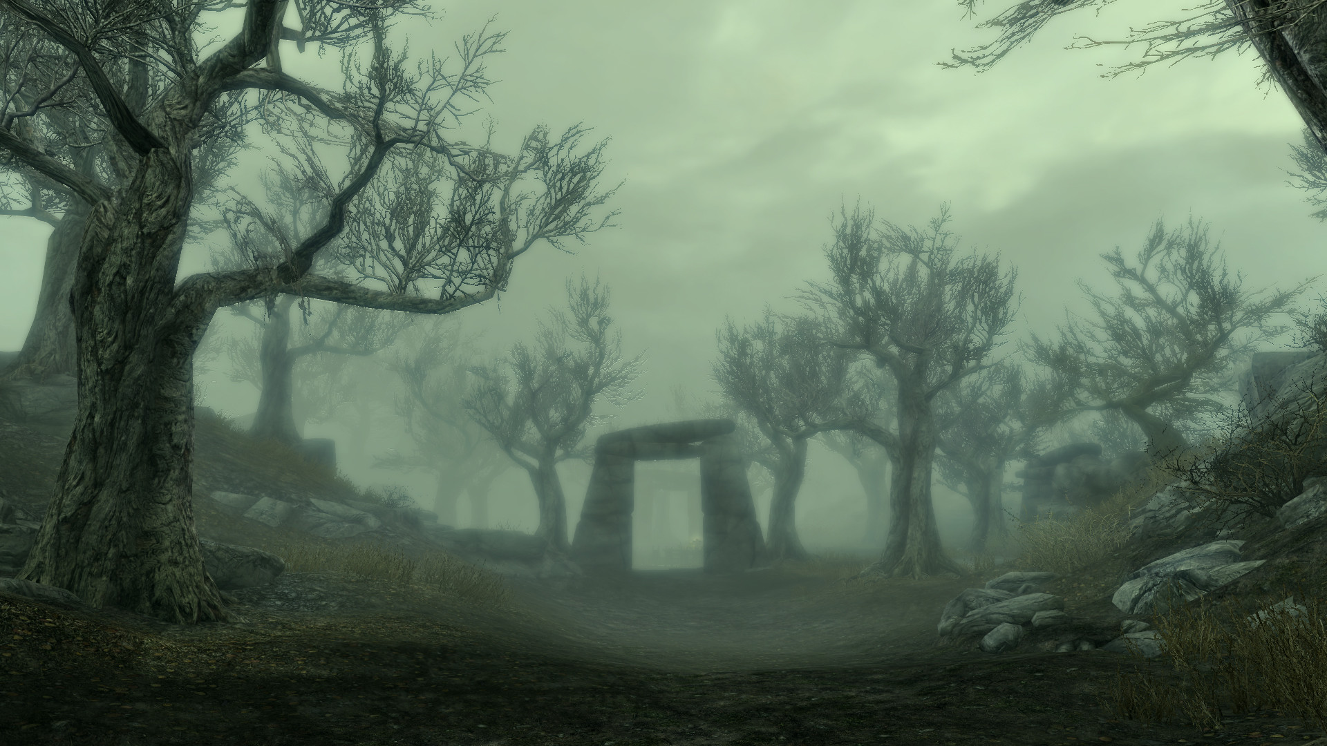 The Elder Scrolls V: Skyrim, Palude, Nebbia verde, Alberi, 1920x1080, immagine di sfondo