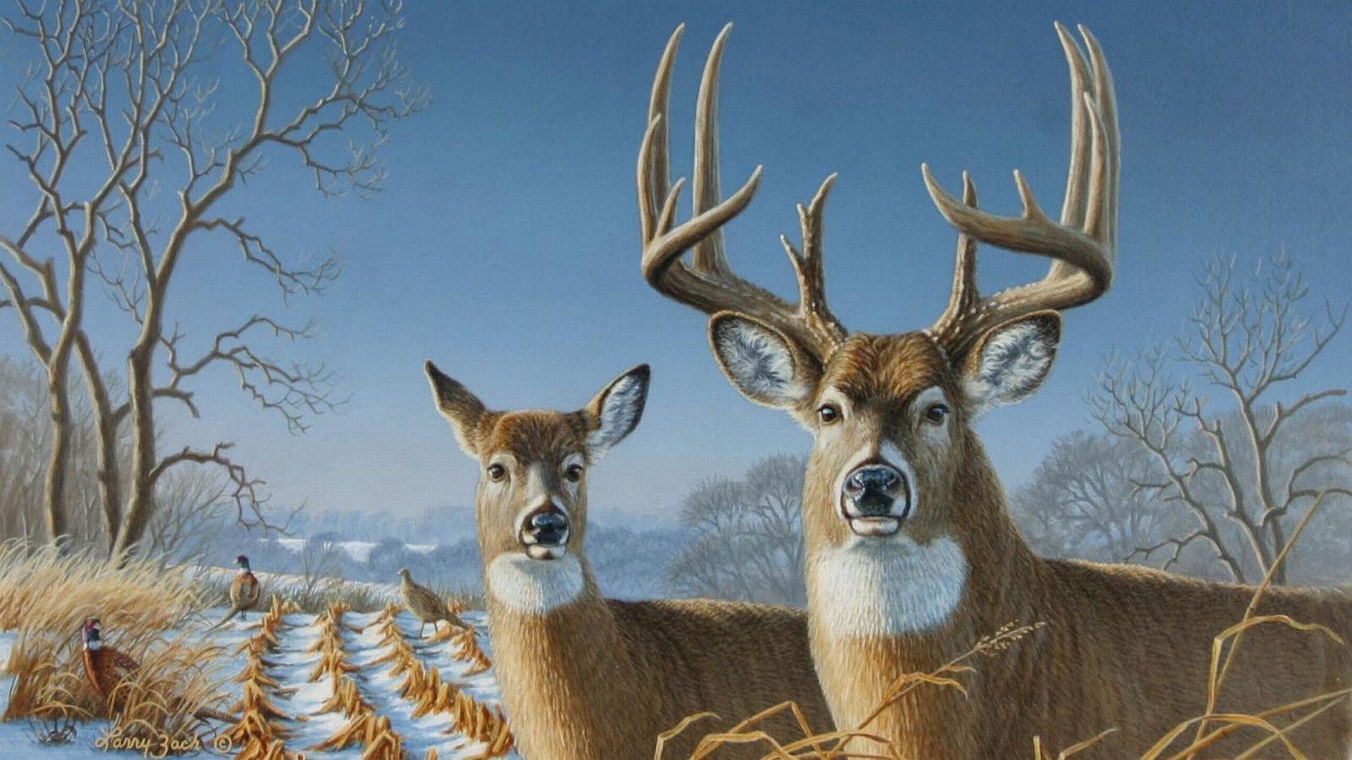 Cervo dalla coda bianca, Cerva, Dipinto, Inverno, 1920x1080, immagine di sfondo