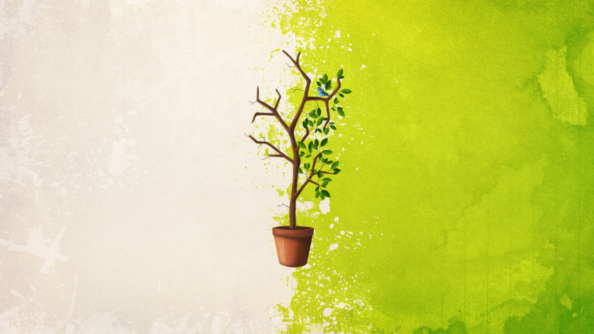 Alberello, Vaso, Illustrazione, Verde lime, Full HD, sfondo per portatile