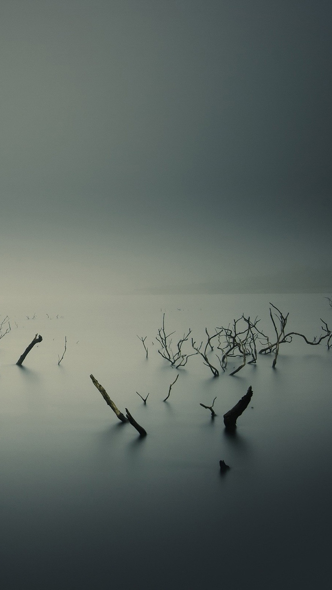 Nebbia, Lago, Rami secchi, Minimalista, Grigio, Full HD, sfondo iPhone 6