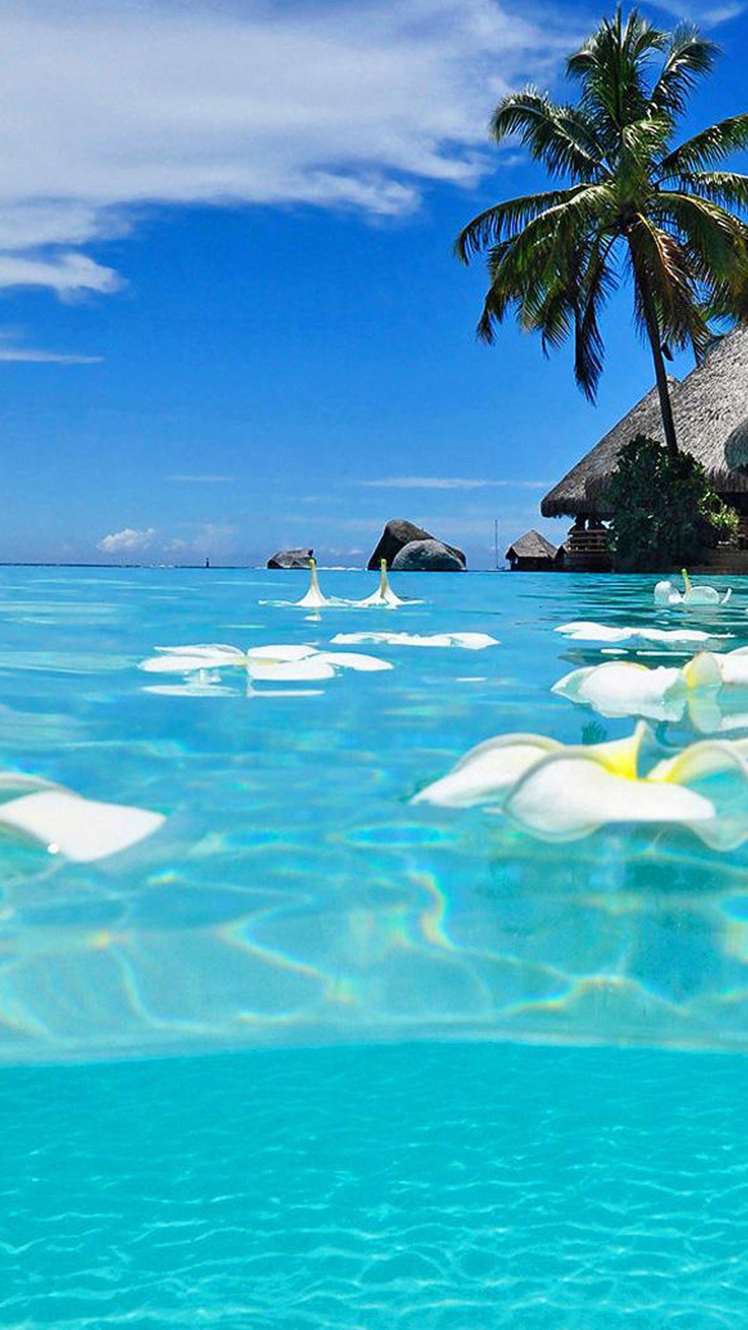 Holiday Samsung Galaxy S5 Wallpapers 36, Full HD, sfondo verticale per cellulare