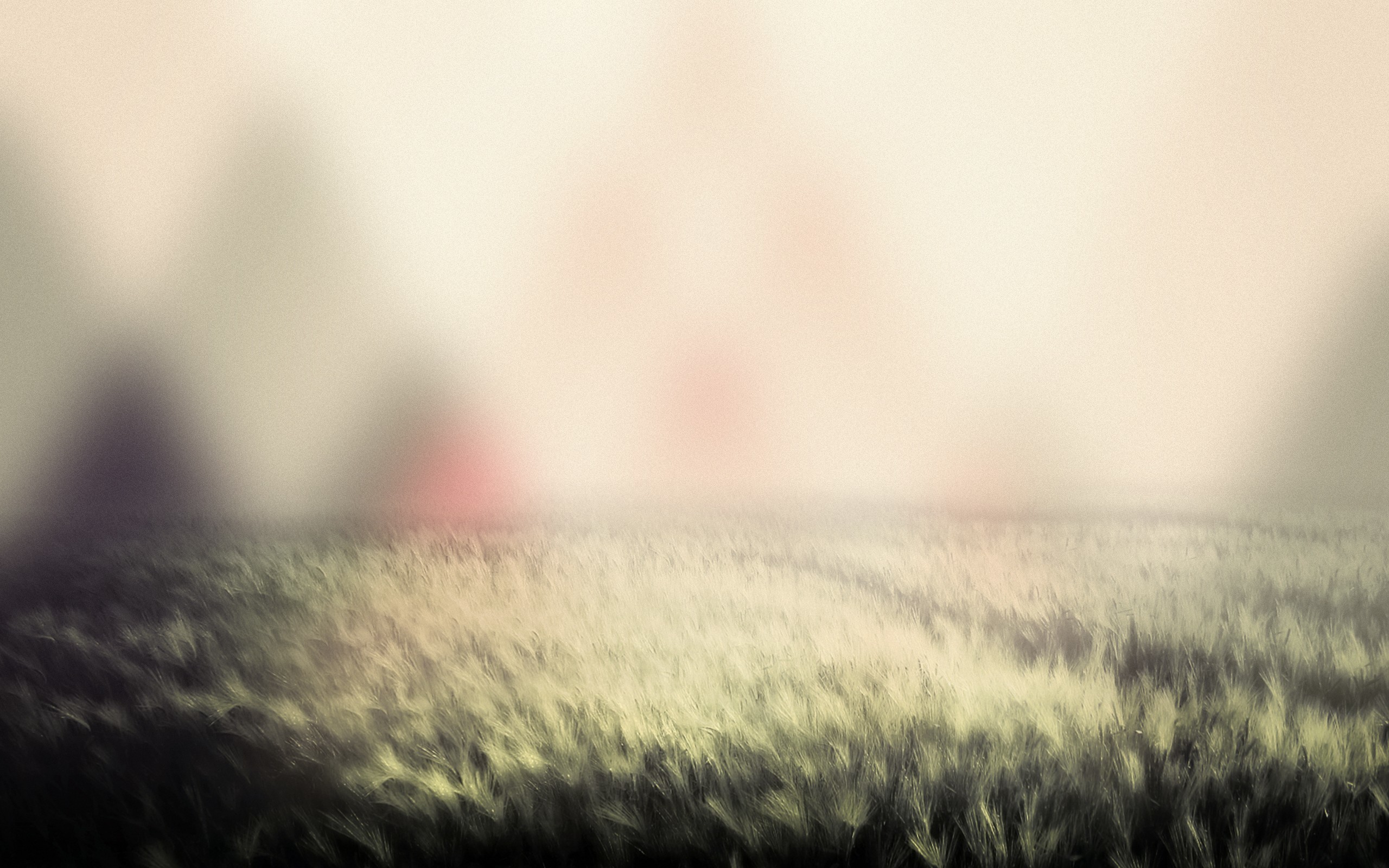 Erba, Sfocato, Montagne, Pastello, 2560x1600, sfondo per PC