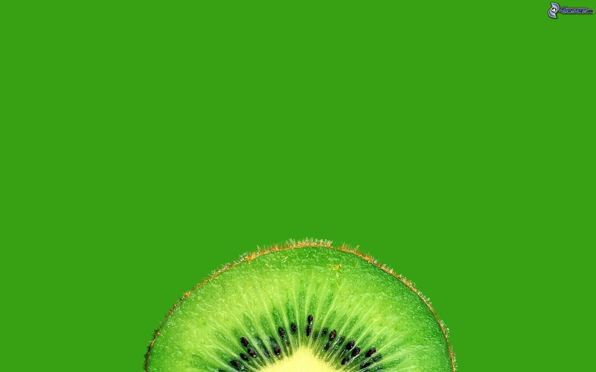 Kiwi, Frutta, Minimal, Verde, 1920x1200, sfondo per PC